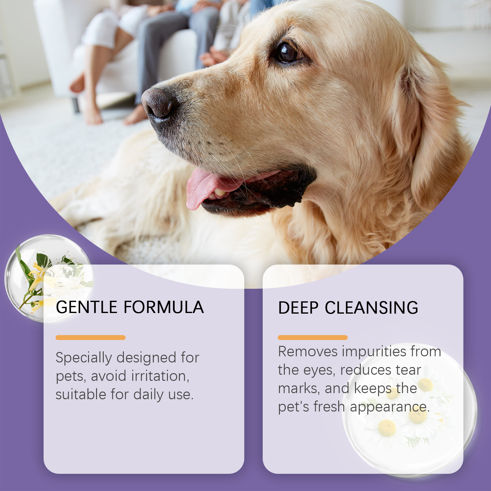 Pet eye rinse accessories for gentle grooming