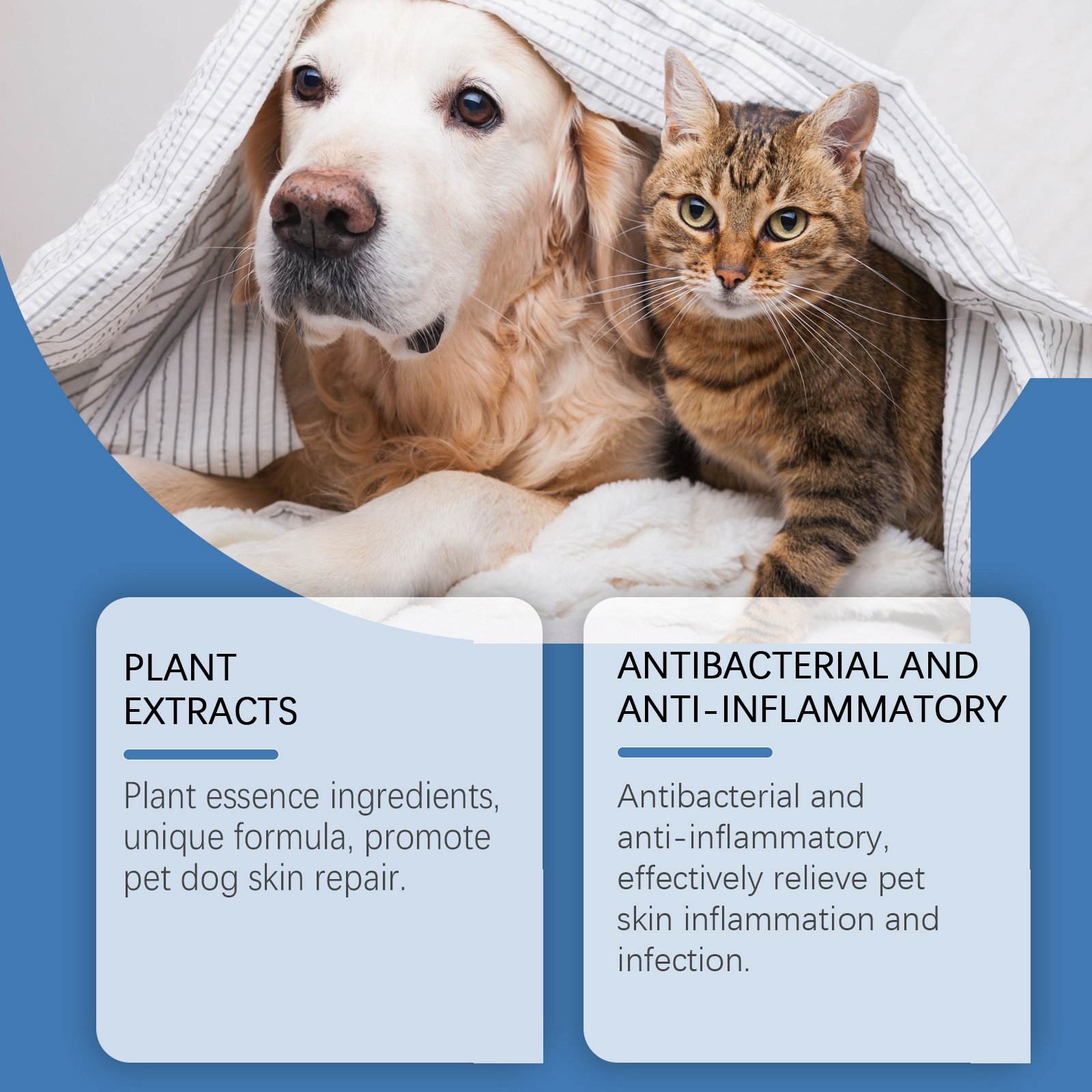 Dog and cat beside plant essence pet care information