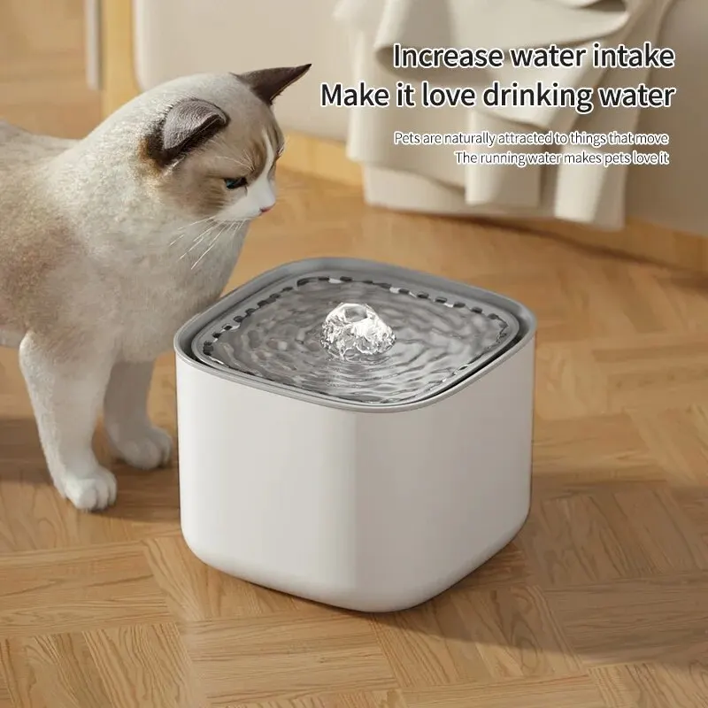 product name