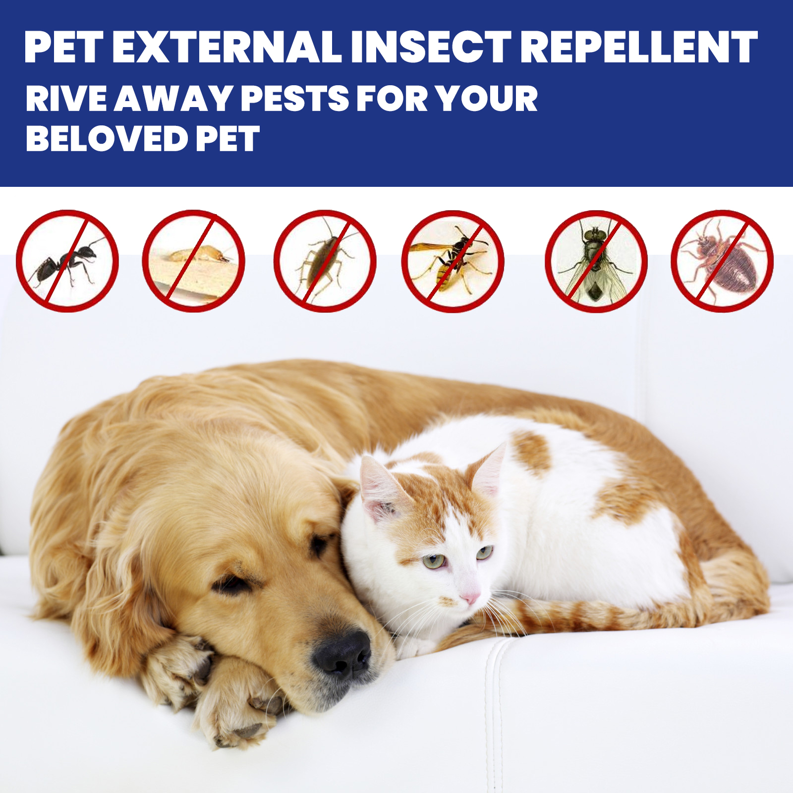 Dog and cat beside pet external insect repellent graphic