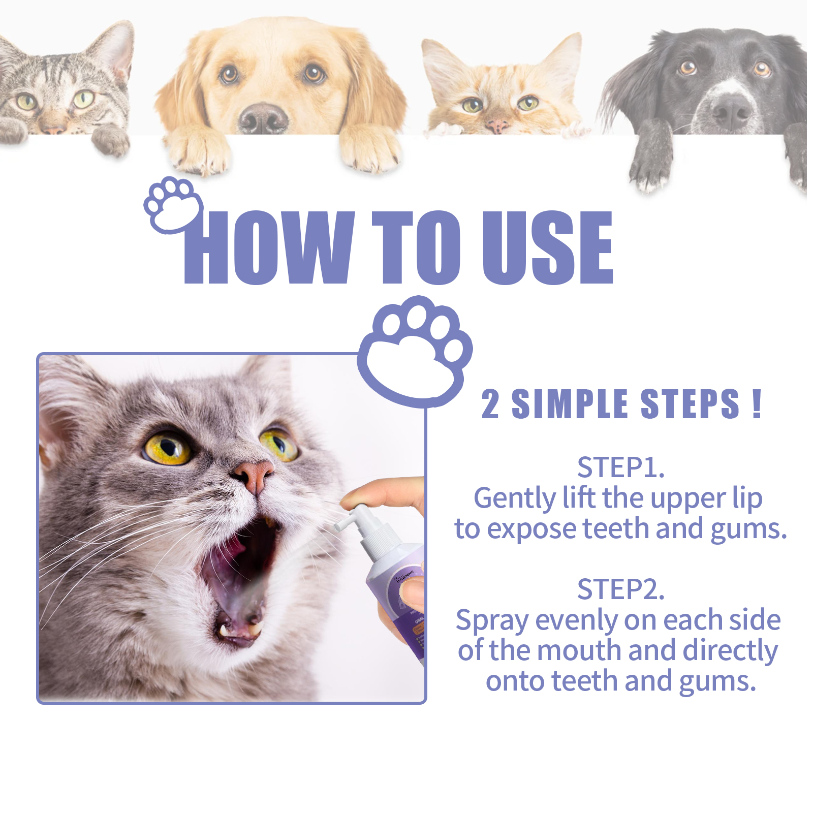 Purple pet oral care bottle label detail with gold seal accent