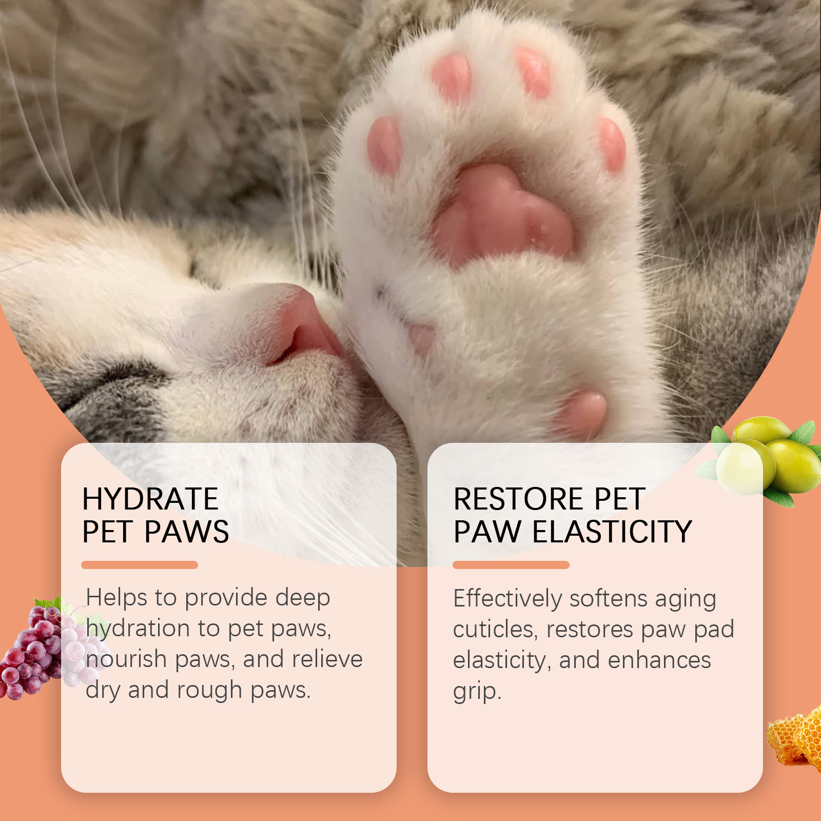 Close-up pet paw showing hydration and elasticity care