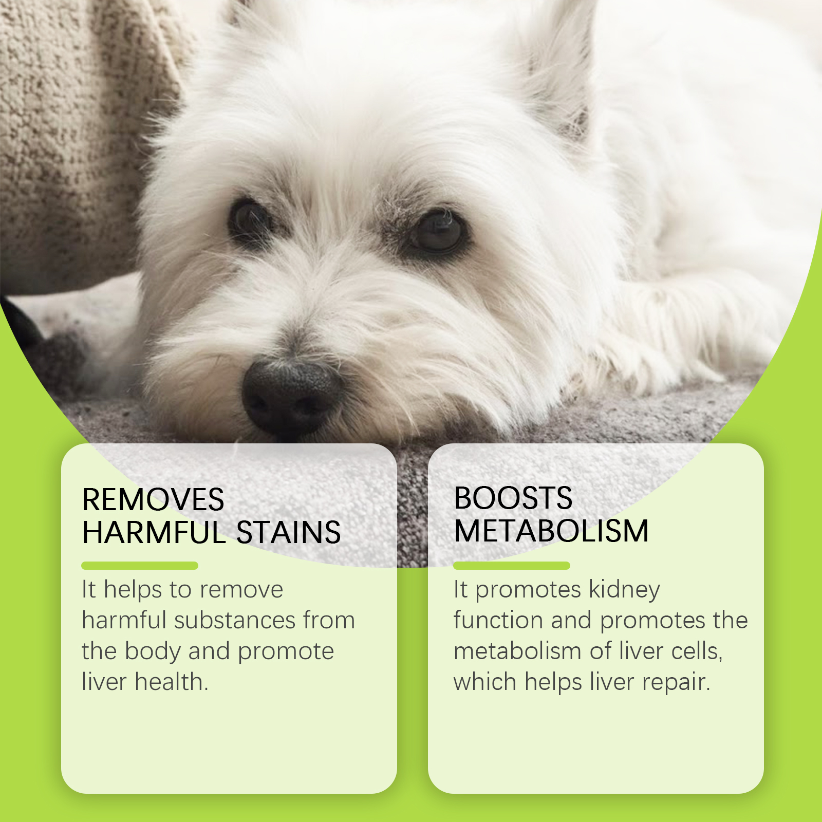 Dog liver support bottle and matching product carton