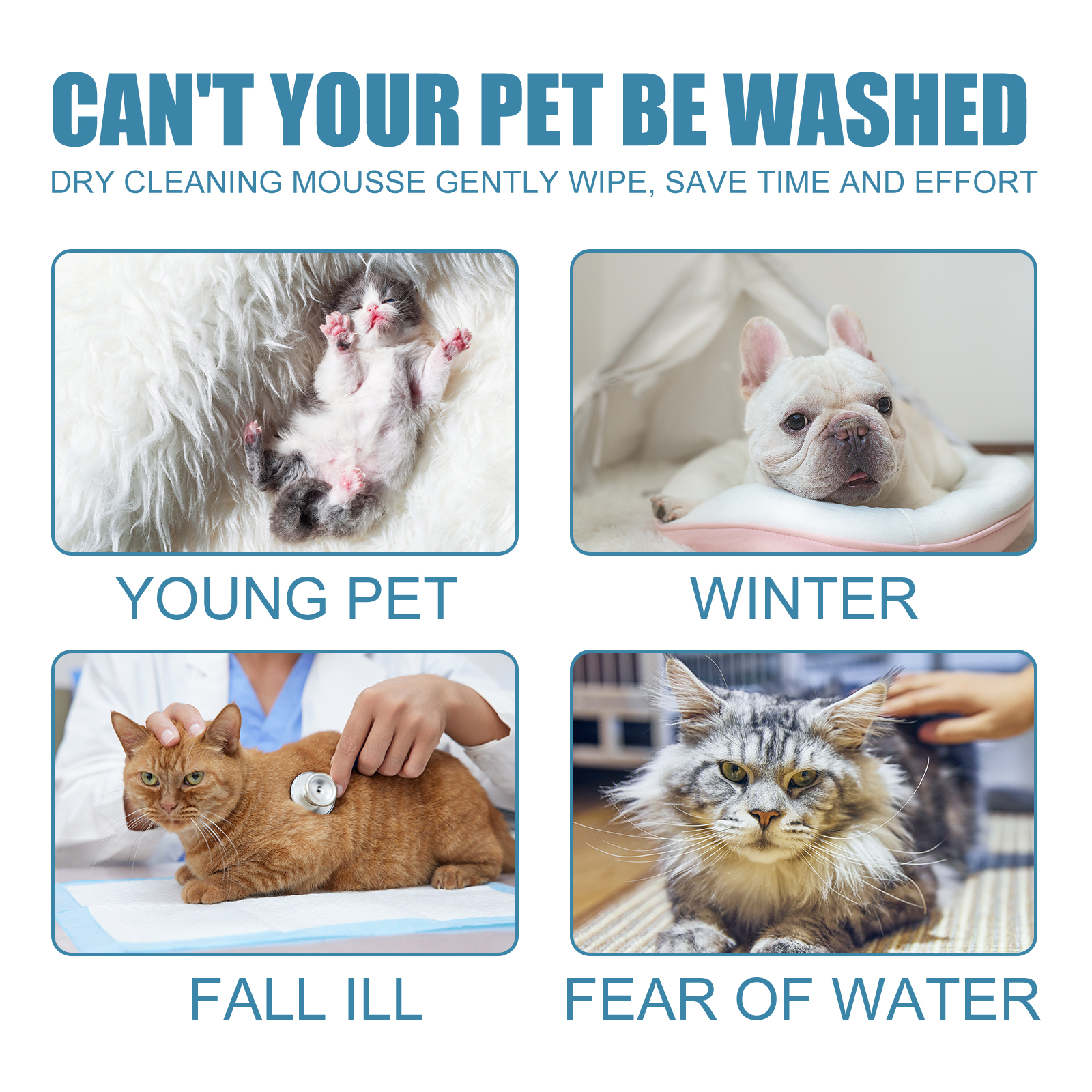 Pet grooming use cases for winter illness and water fear