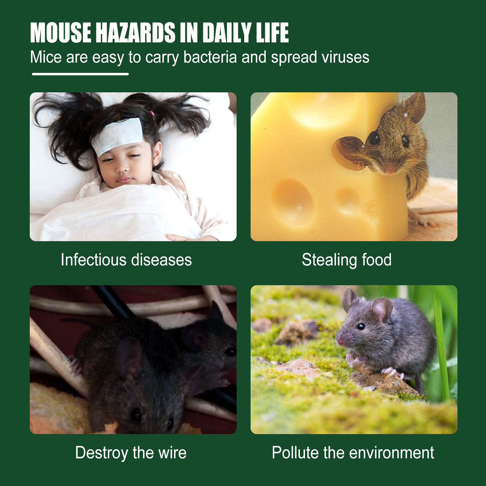 Rodent hazard graphic with gel product packaging