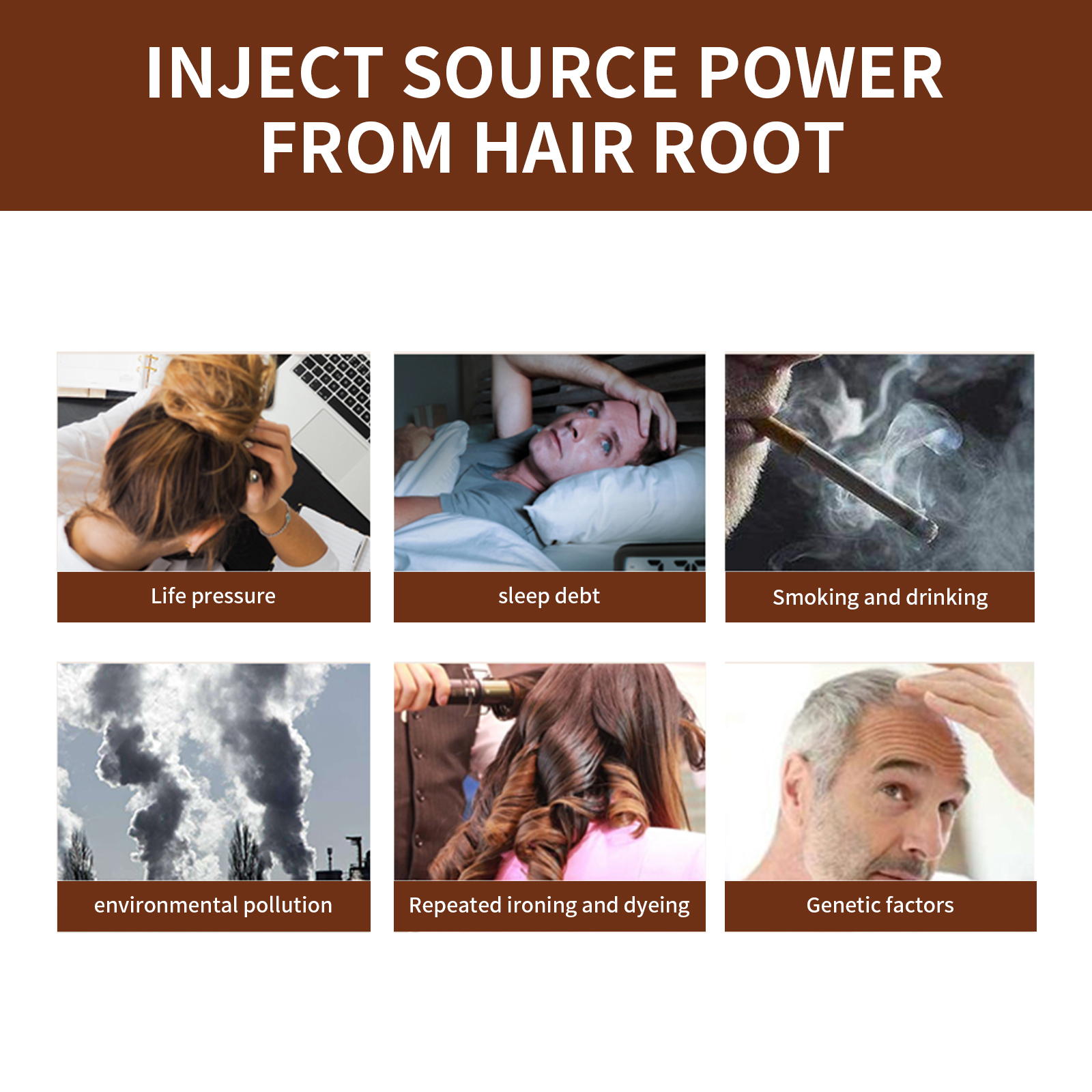 Polygonum botanical imagery for solid hair-care routine