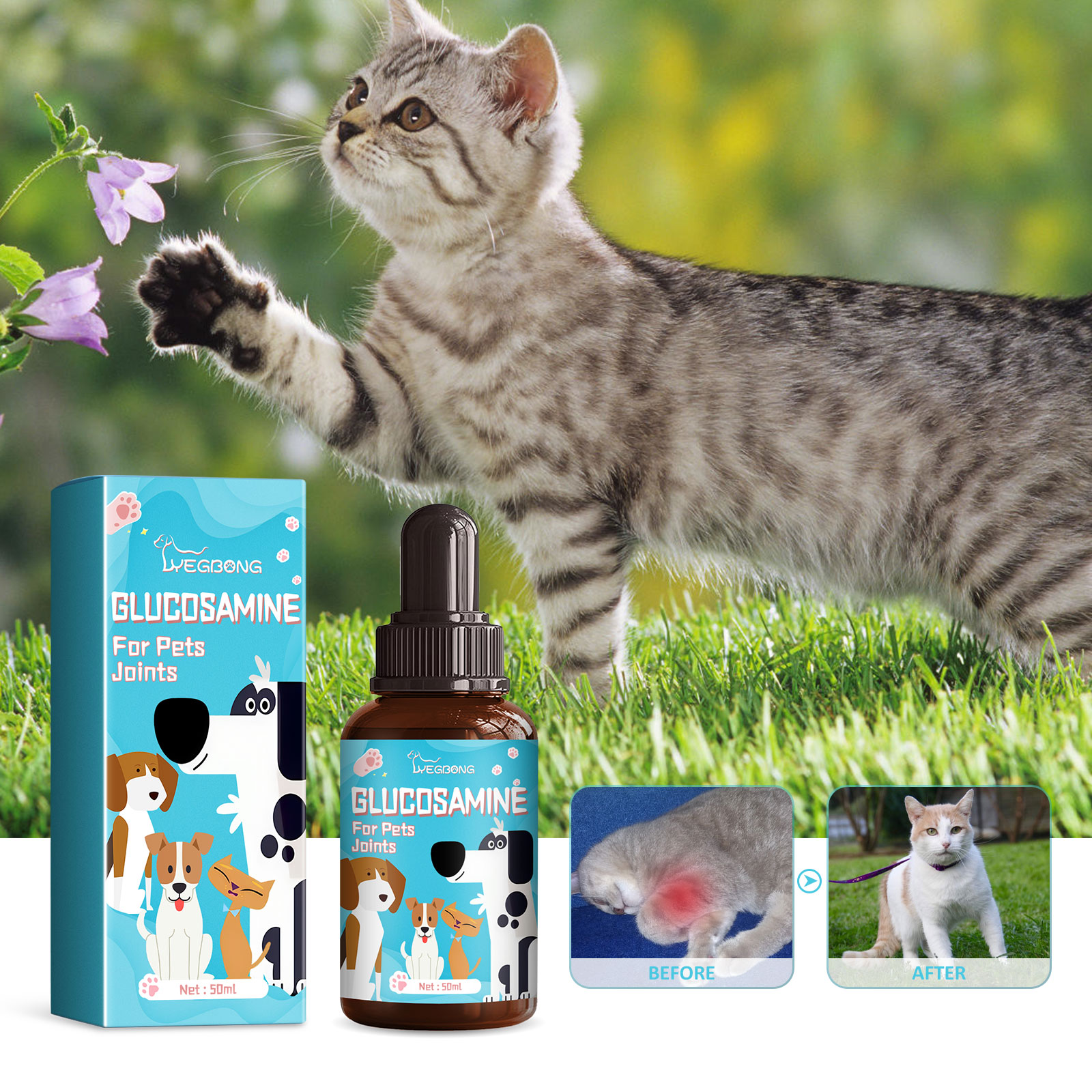 Compact pet glucosamine bottle near cat