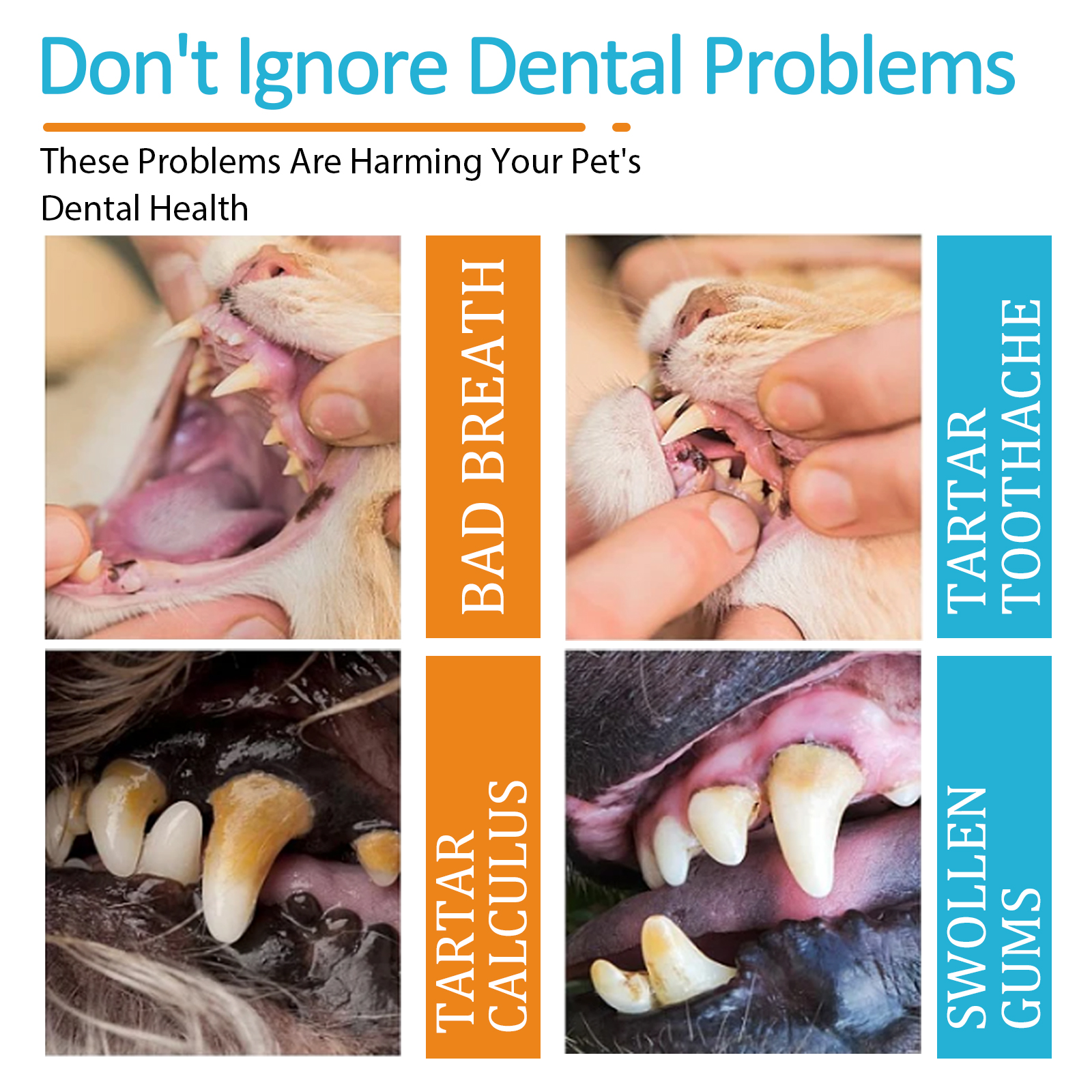 Pet mouth care graphic showing stains and gum concerns
