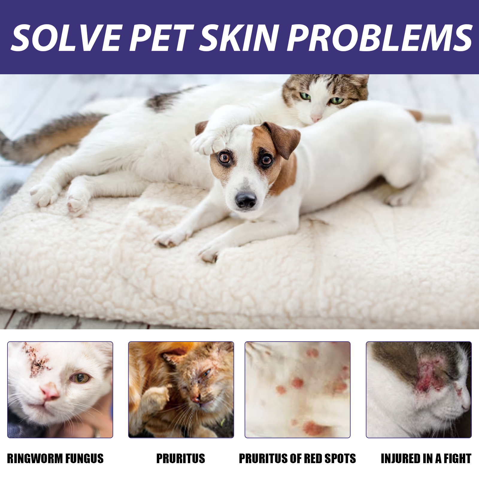 Pet skin care concerns shown on purple packaging