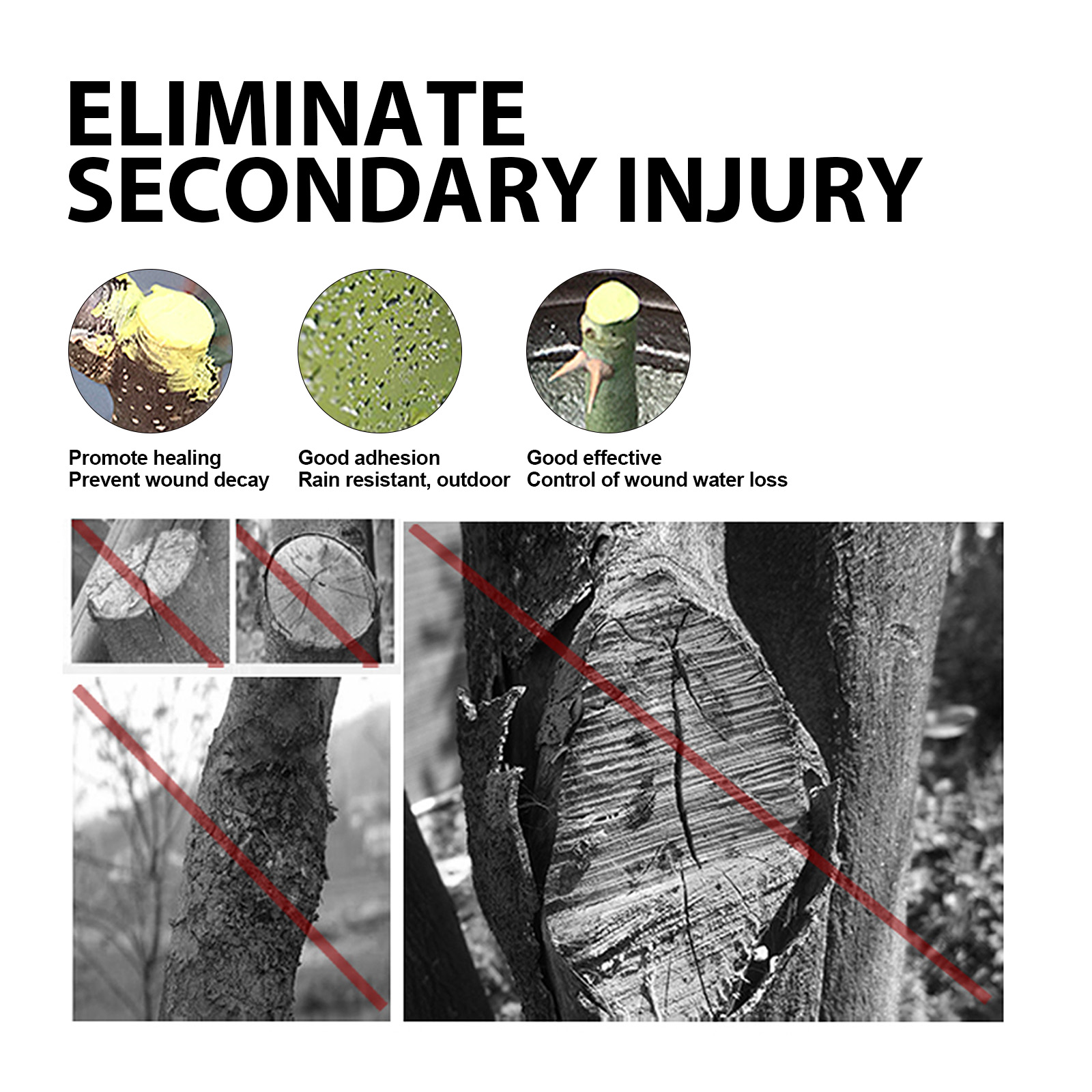 Tree wound dressing protection and rain resistance graphic