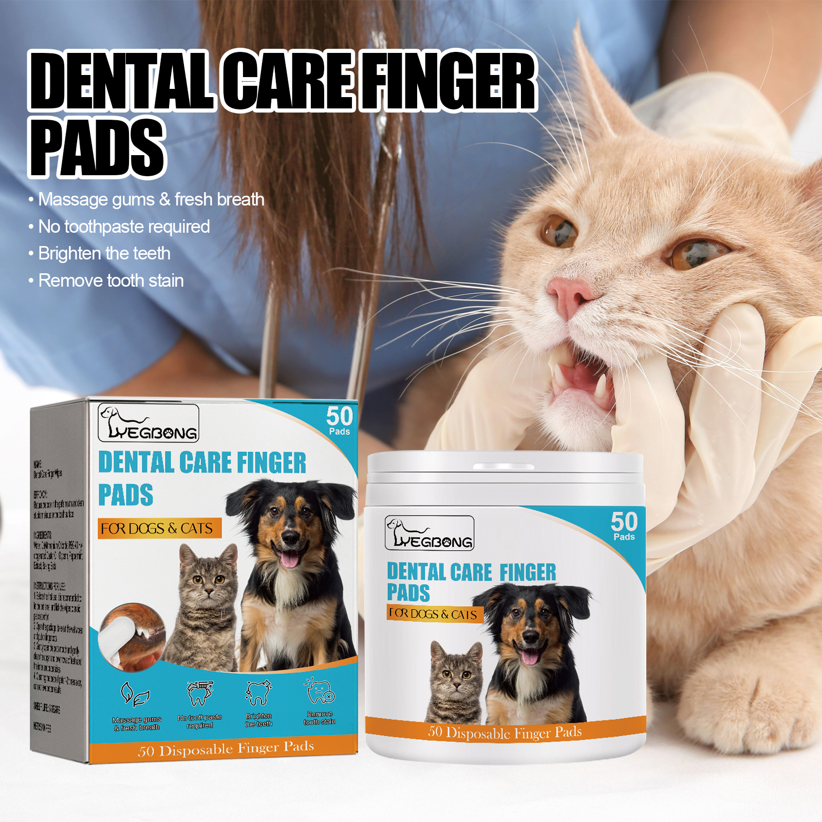 Person cleaning orange cat teeth during home dental care