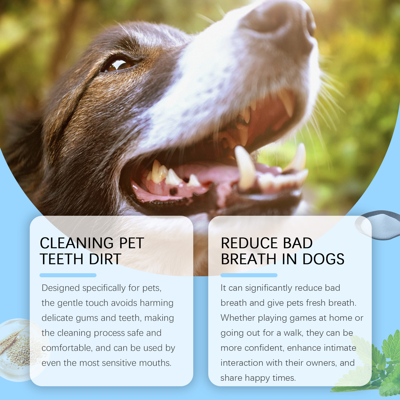 Dog enjoying bright everyday portable dental care