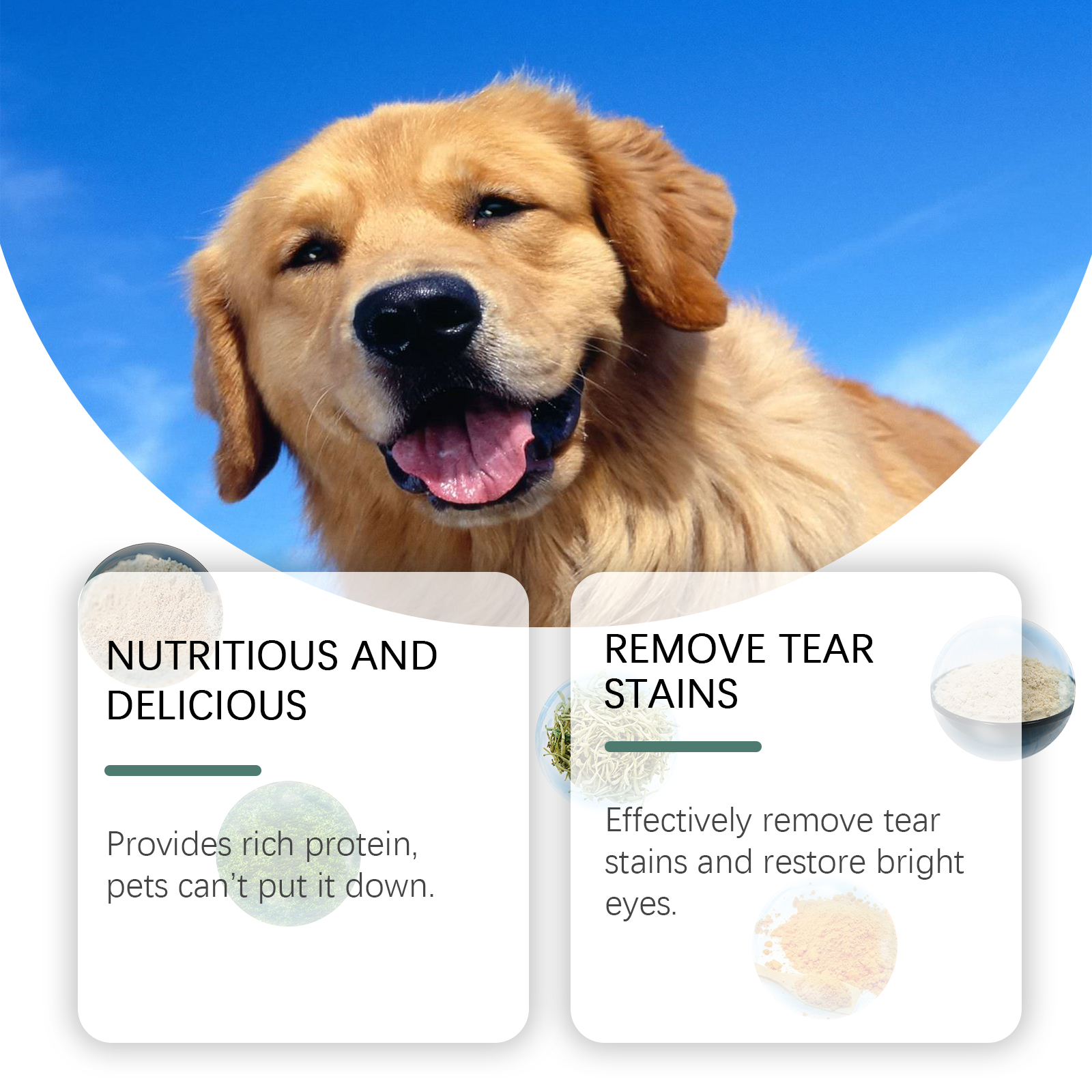 Happy golden retriever with dog supplement packaging