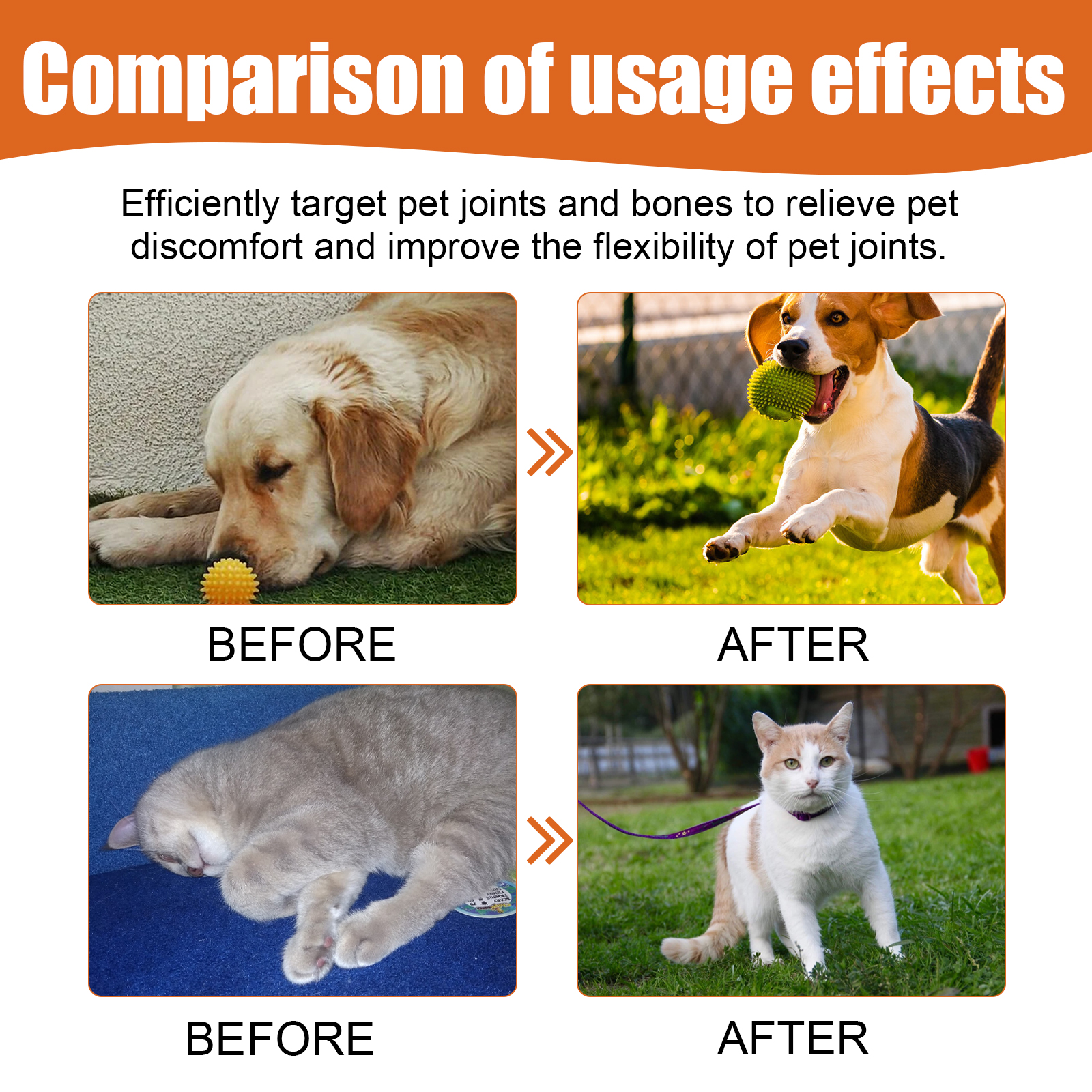 Pet mobility comparison graphic with cats and dogs