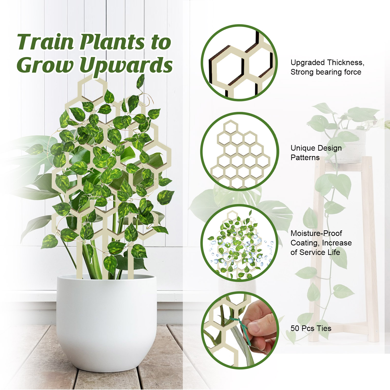 Potted vine with green ties and coated wooden support