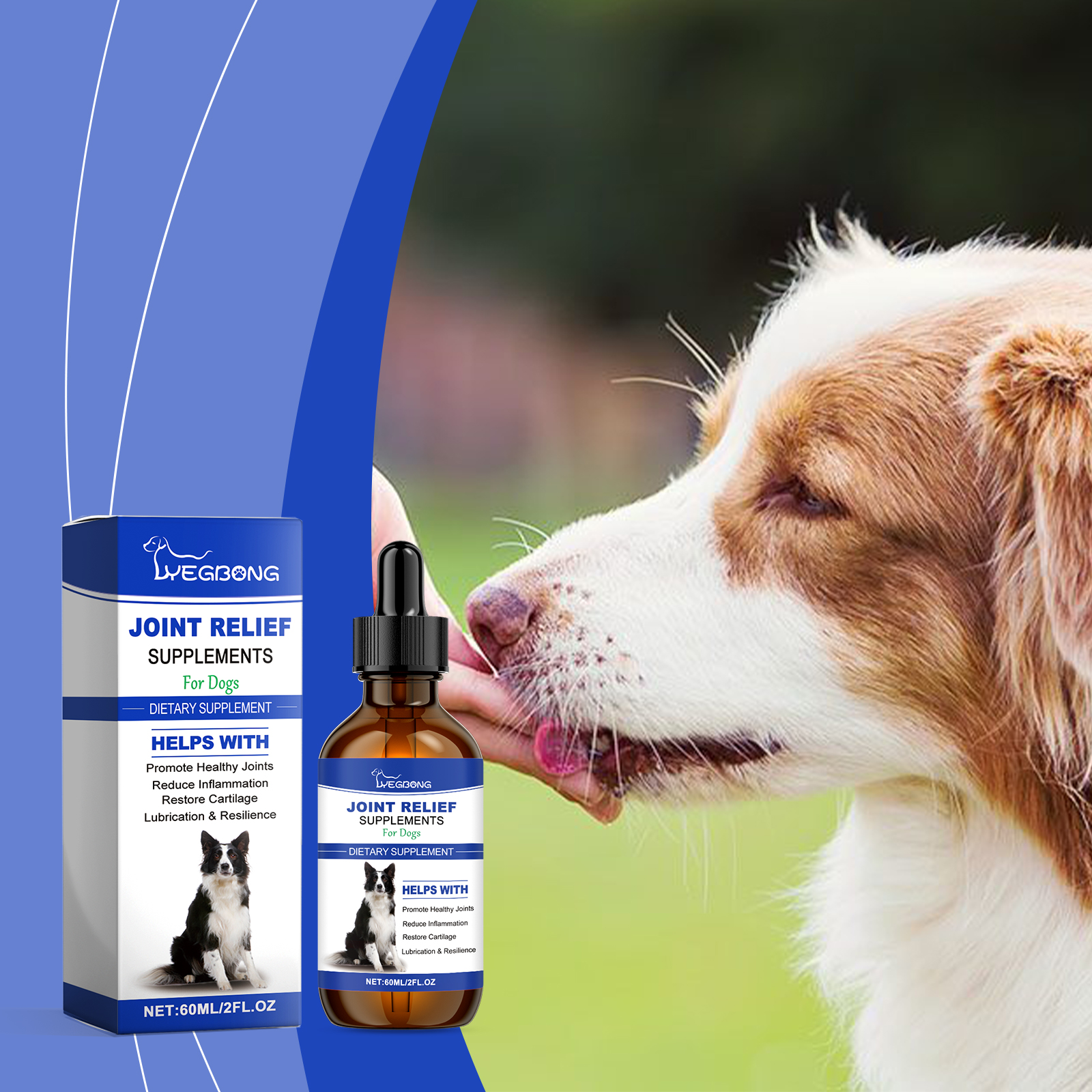 Dog approaching compact supplement bottle in caring setting