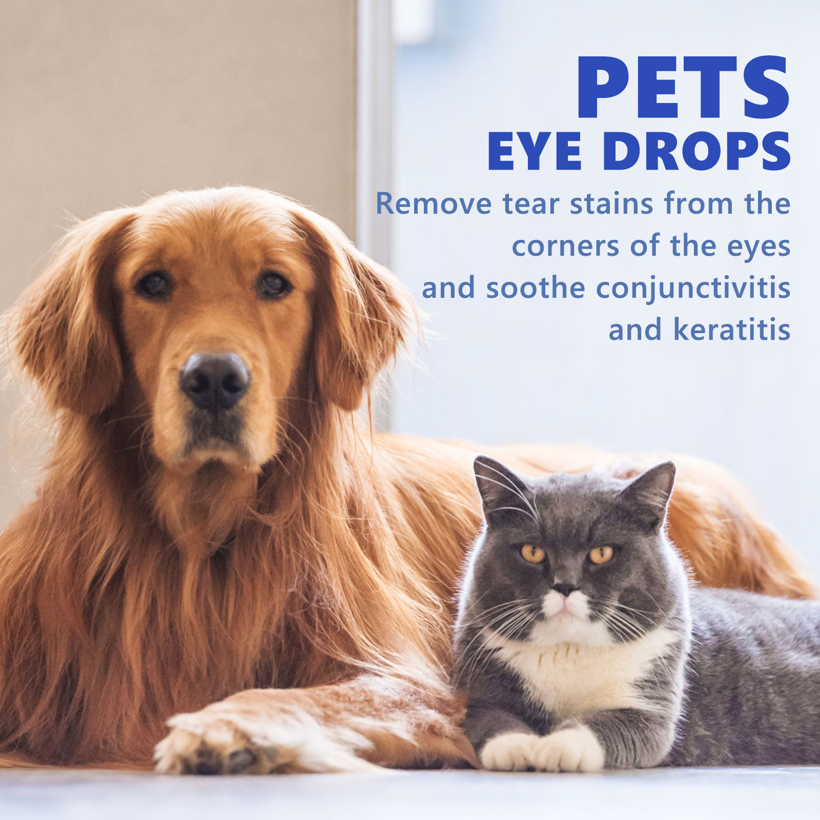 Yegbong pet eye drops complete bottle and box kit