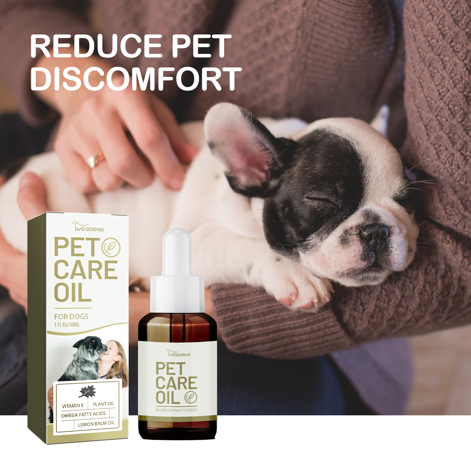 Small dog resting in its owner's arms at home