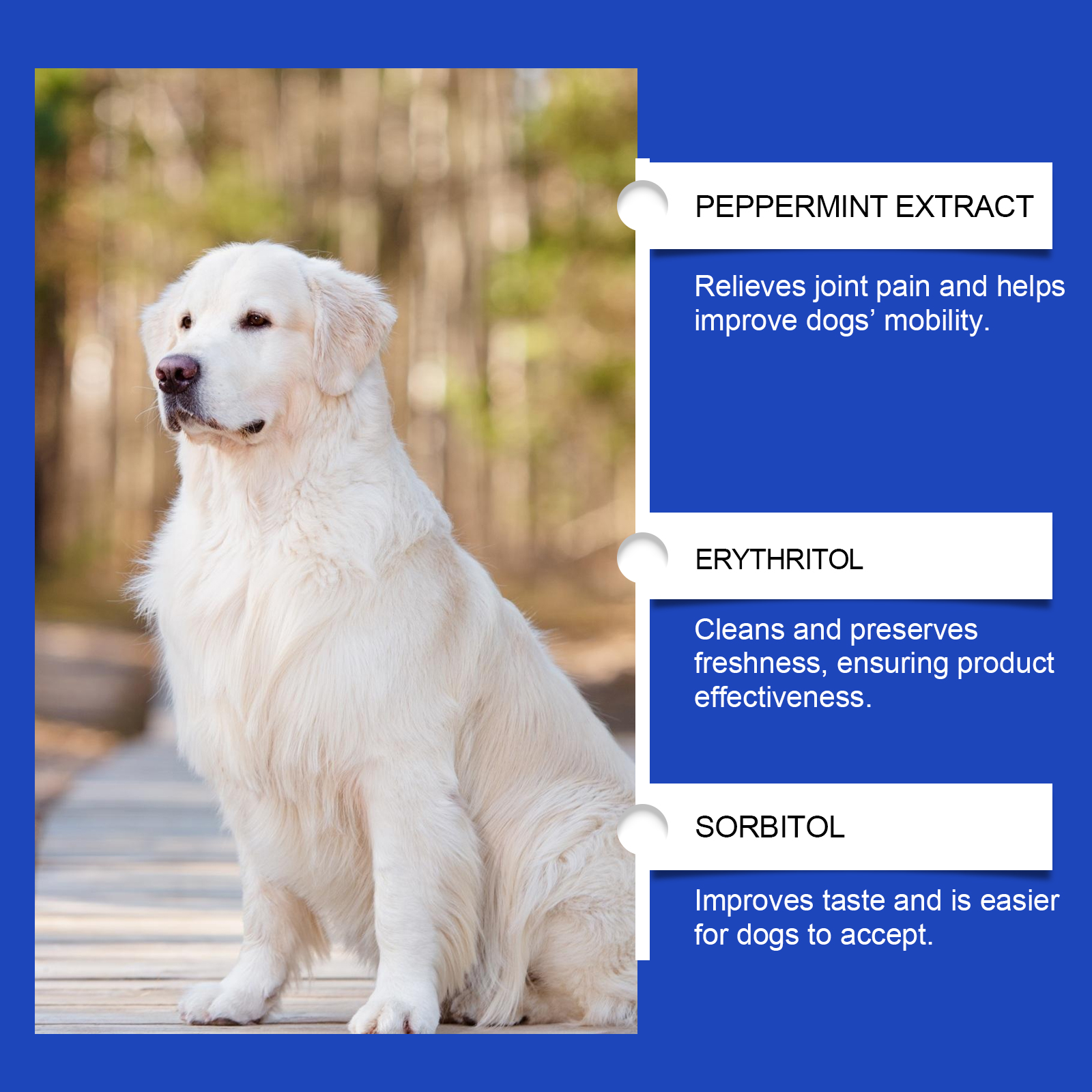 White dog beside visible supplement ingredient callouts