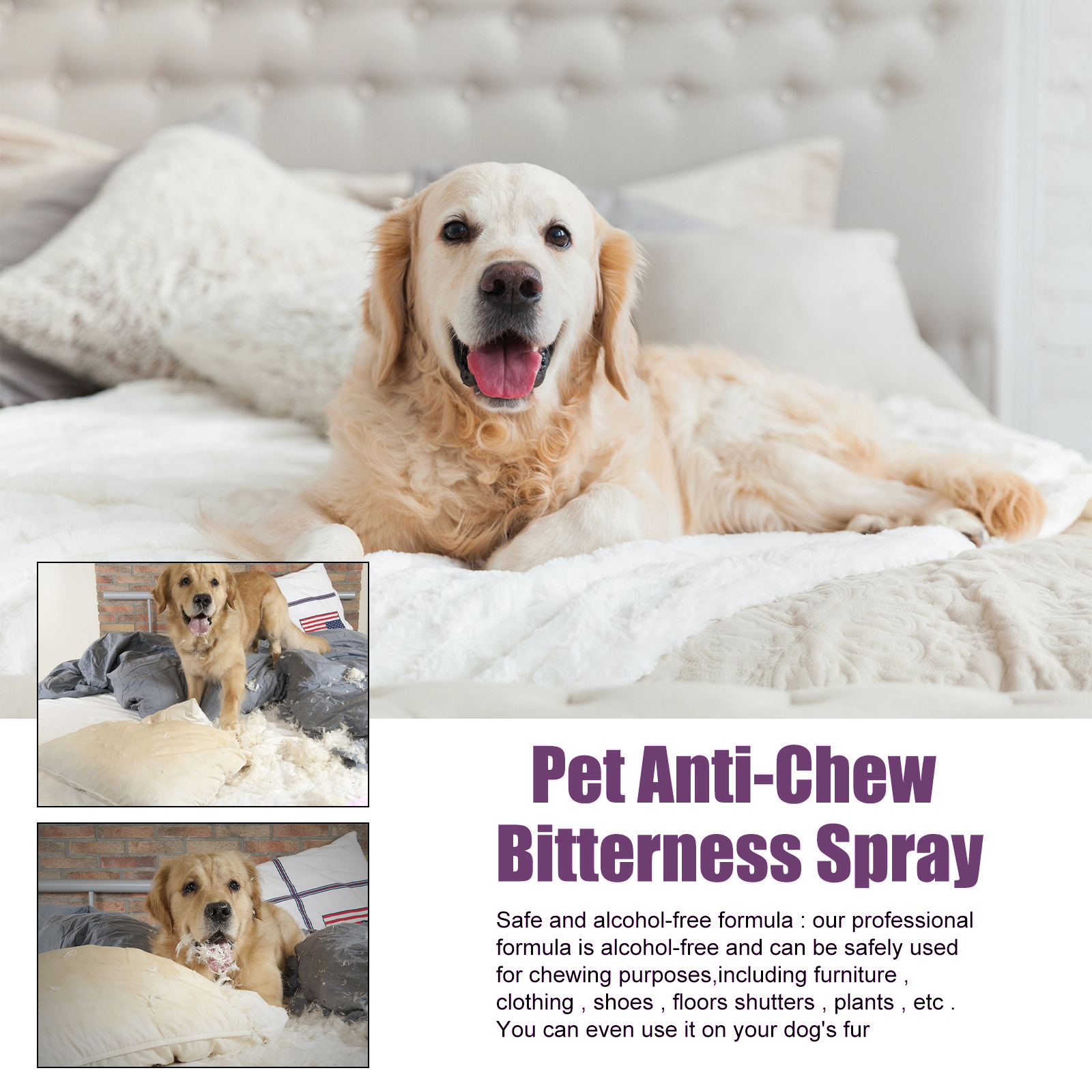 Happy dog beside anti-chew spray feature image