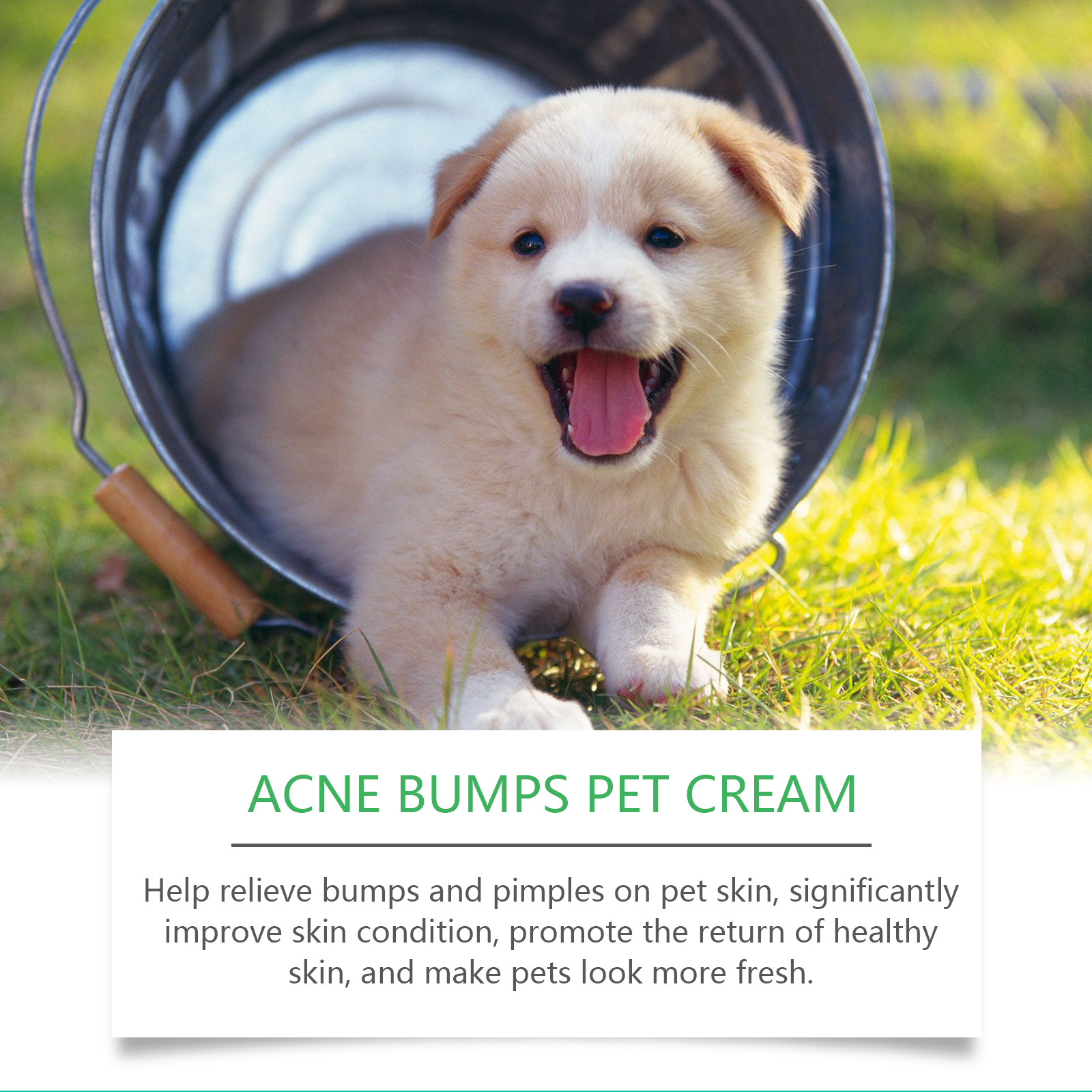 Pet cream shown with happy puppy lifestyle scene