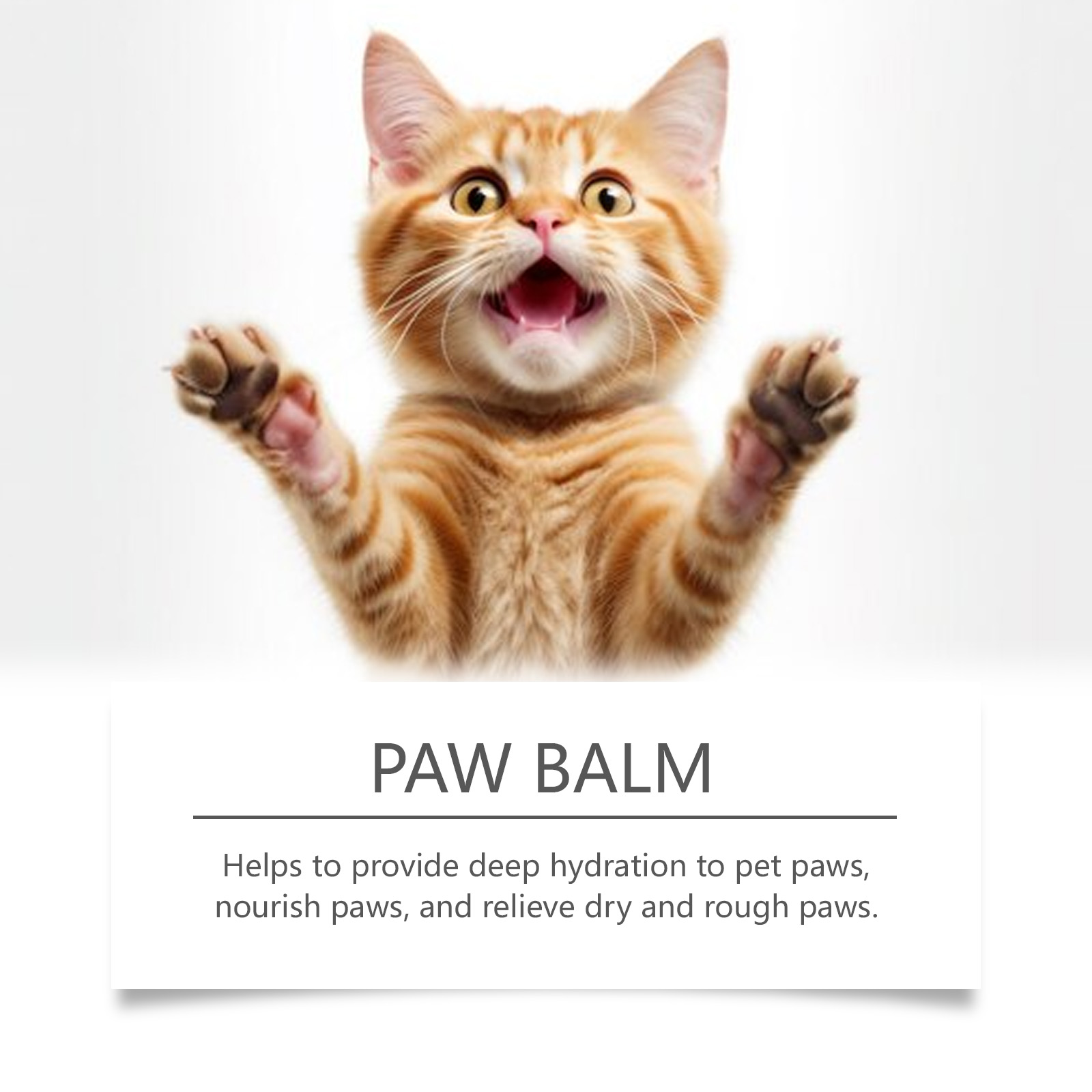 Kitten beside deep hydration paw balm claim