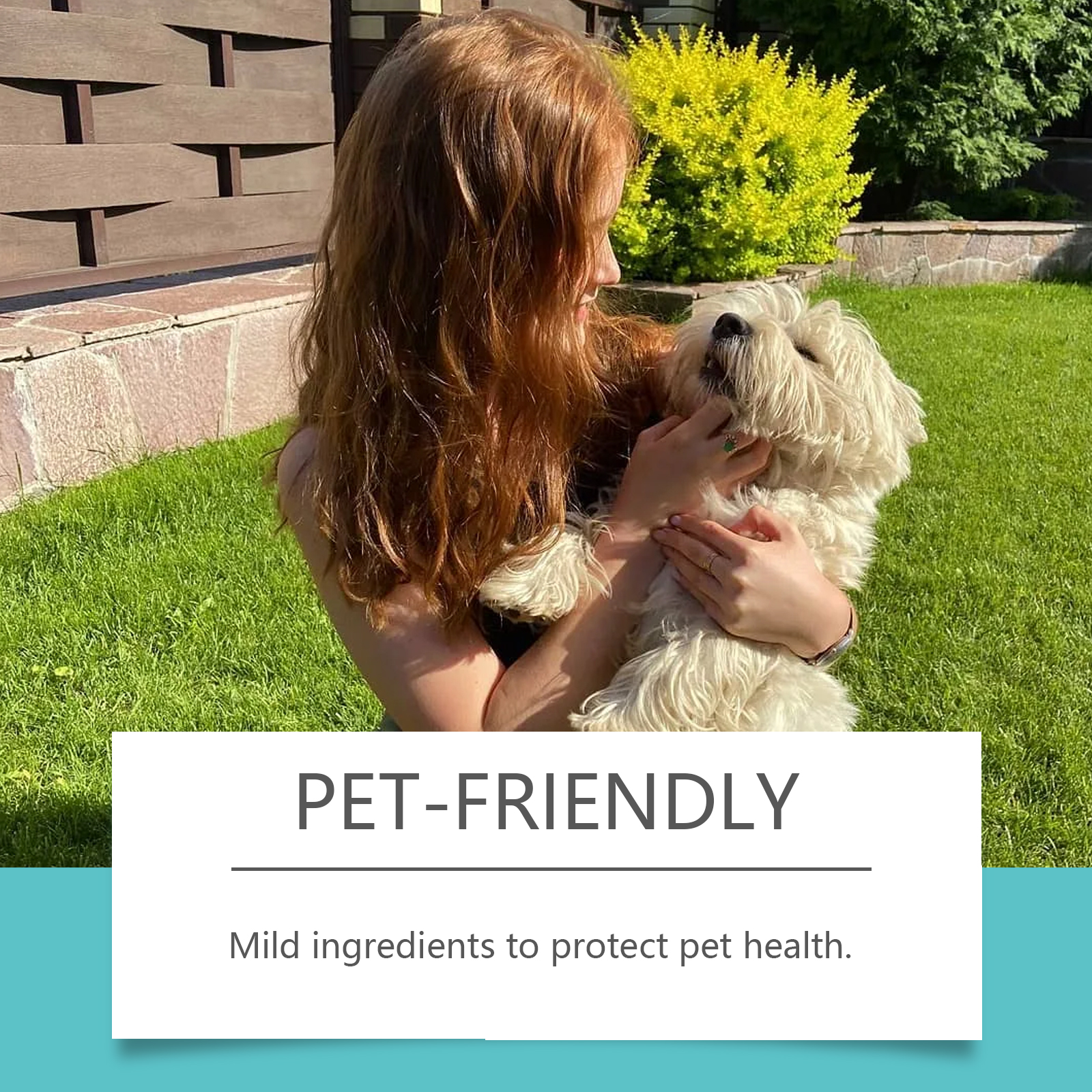 Small dog held beside pet-friendly spray message