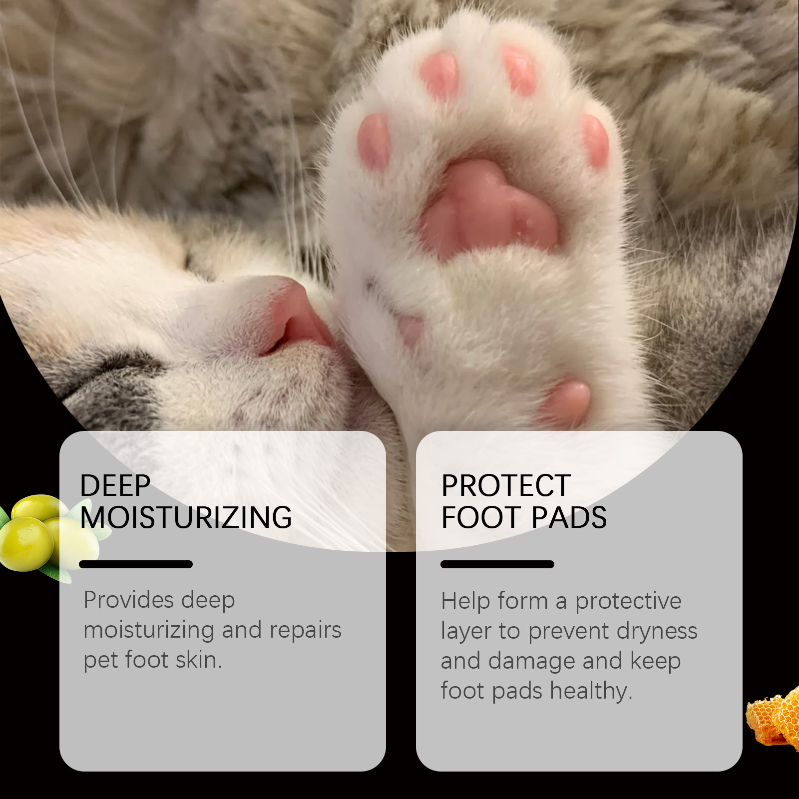 Close-up cat paw with moisturizing paw care stick