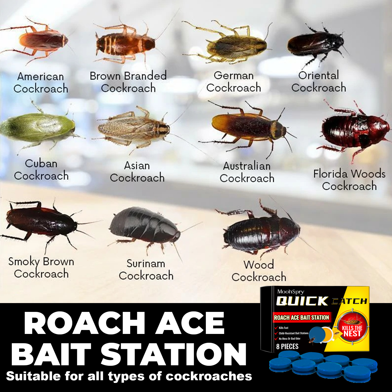 Roach species illustration beside enclosed bait station