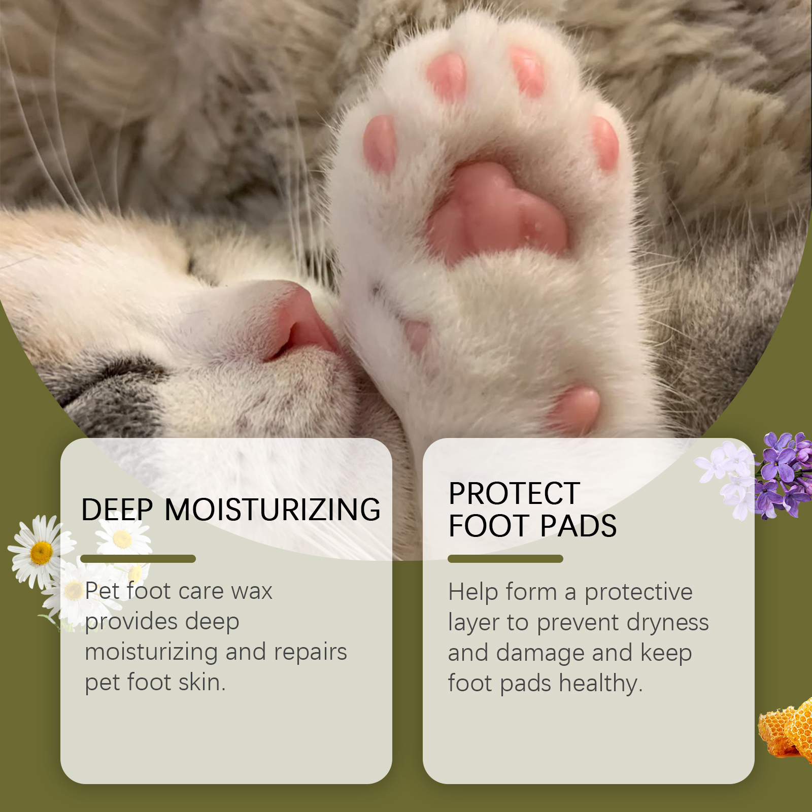 Close-up of pet paw with moisturizing balm messaging