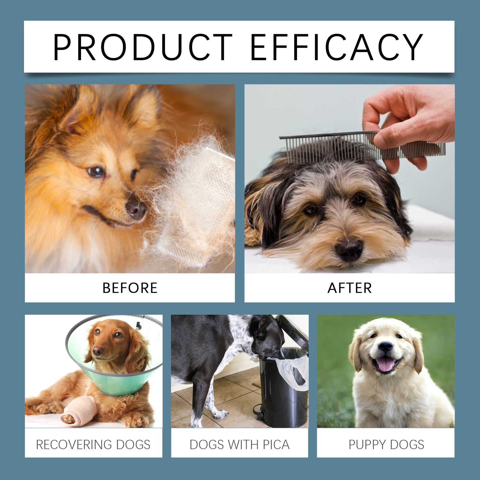 Dog supplement packaging with wellness imagery