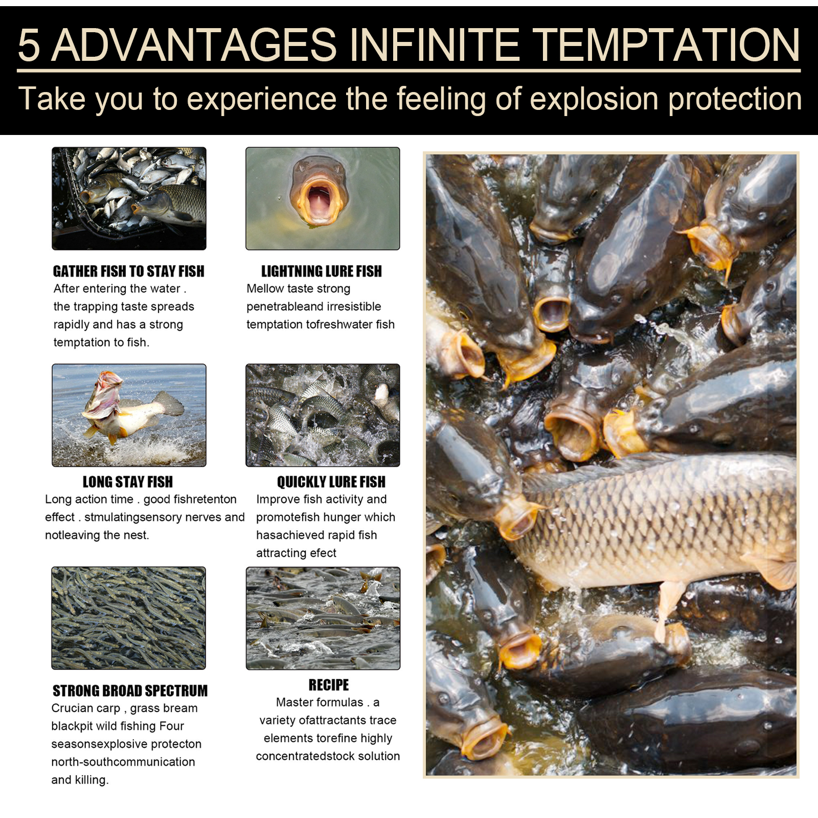 Fishing attractant benefits and fish gathering illustration
