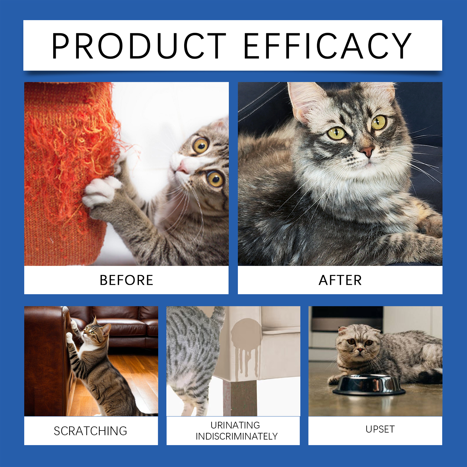 Cat Calming Diffuser Set - image 10