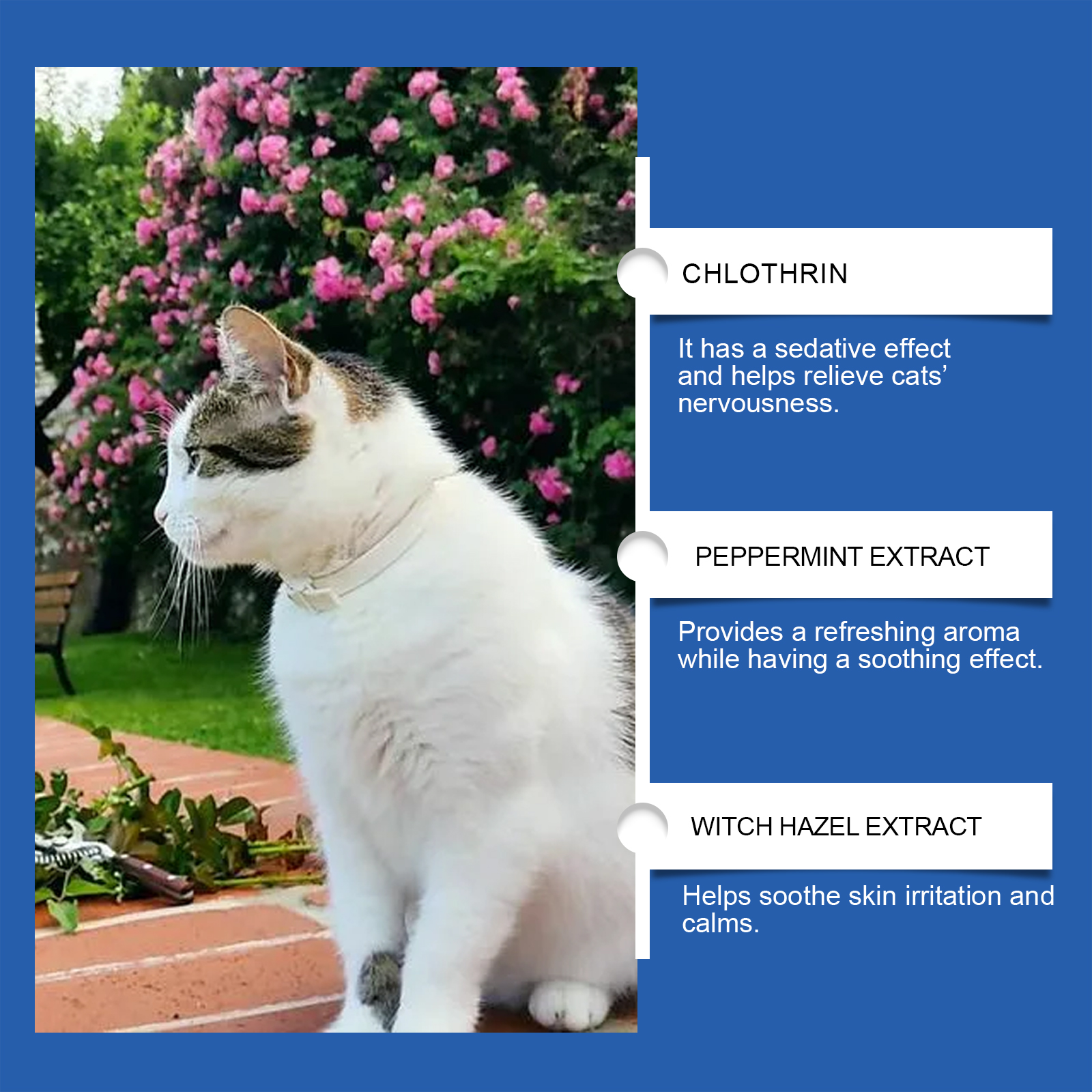 Cat Calming Diffuser Set - image 6