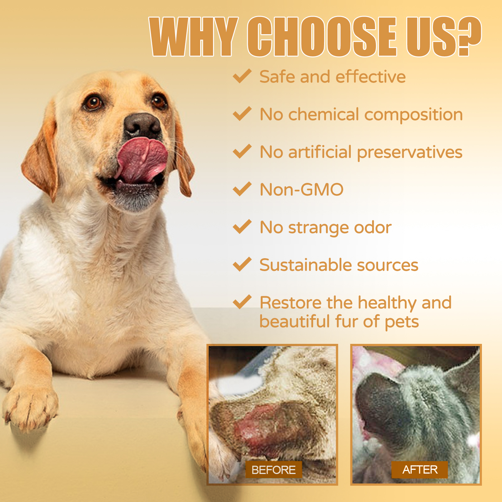 Dog beside serum safety sourcing and coat care claims