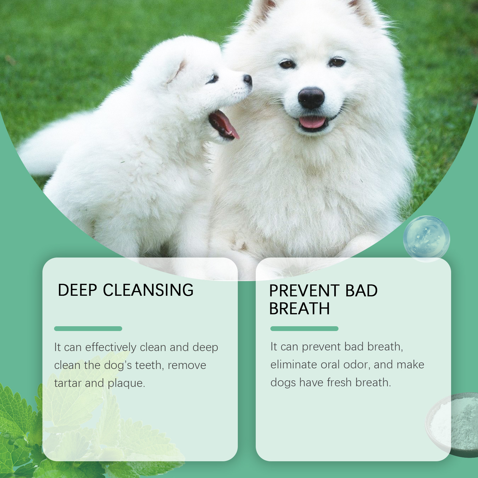 Happy dogs beside deep cleansing and breath claims