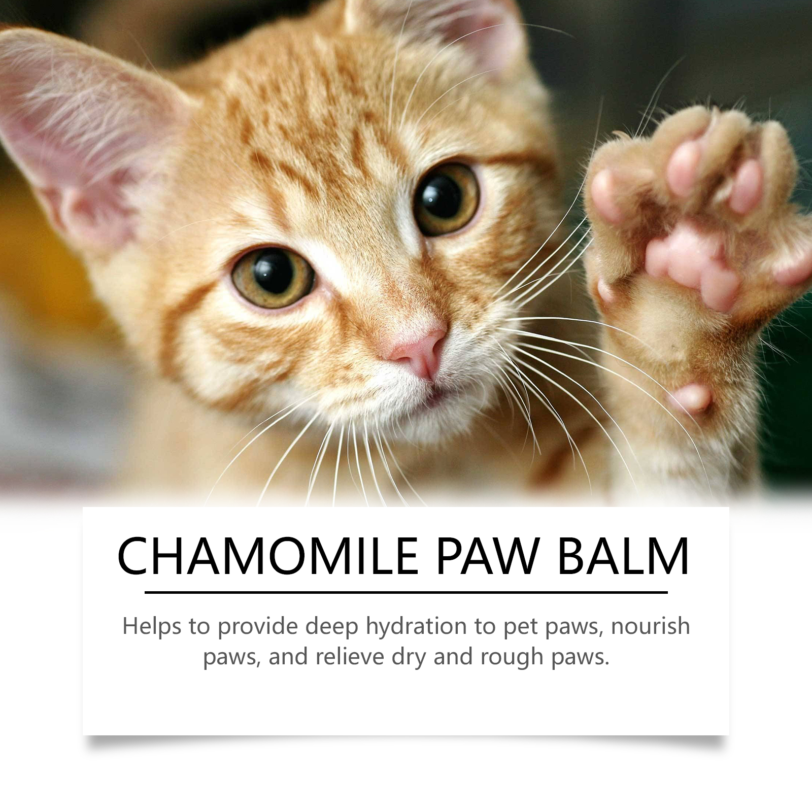 Cat paw beside botanical chamomile balm packaging