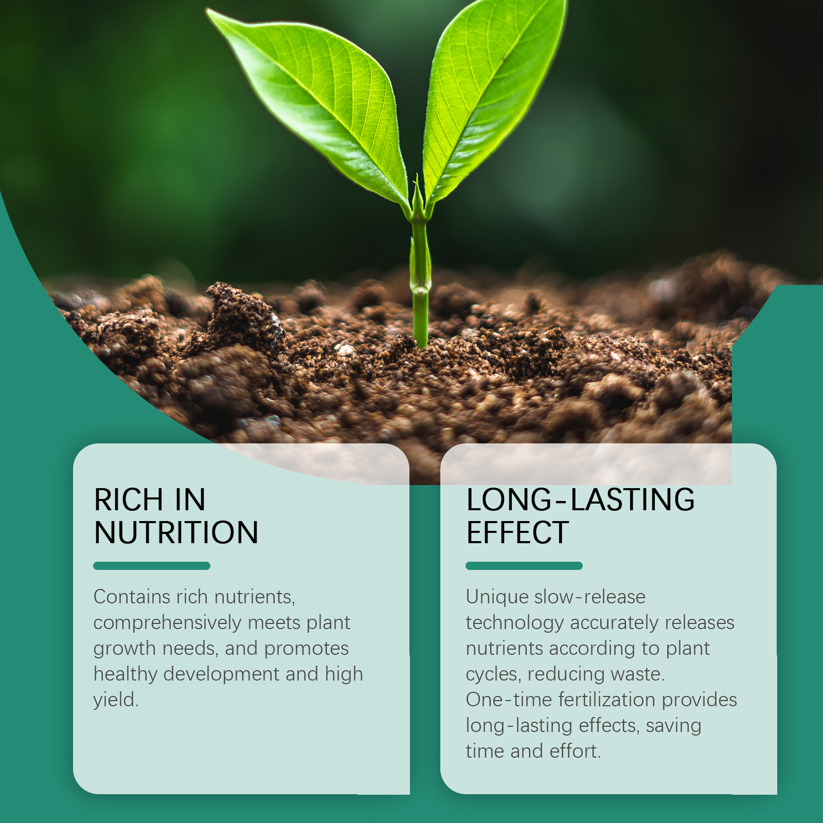 Green seedling beside long-lasting fertilizer messaging