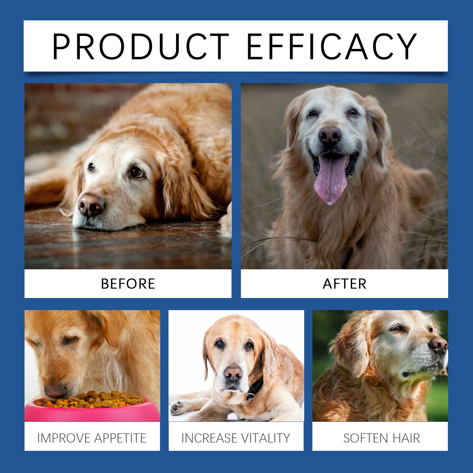 Illustrative dog coat and vitality support comparison