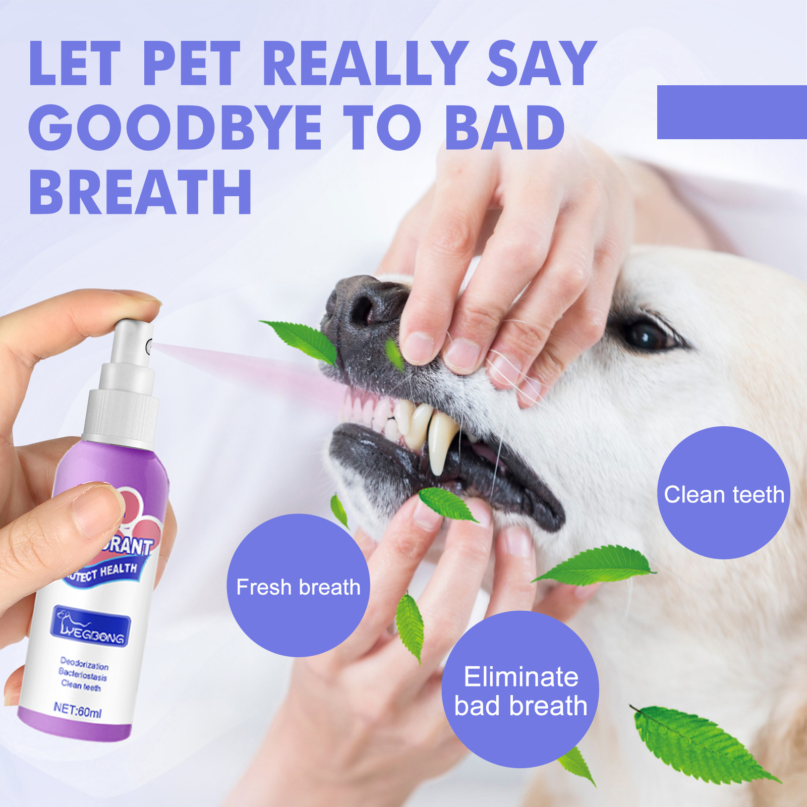 Dog receiving a gentle oral spray application