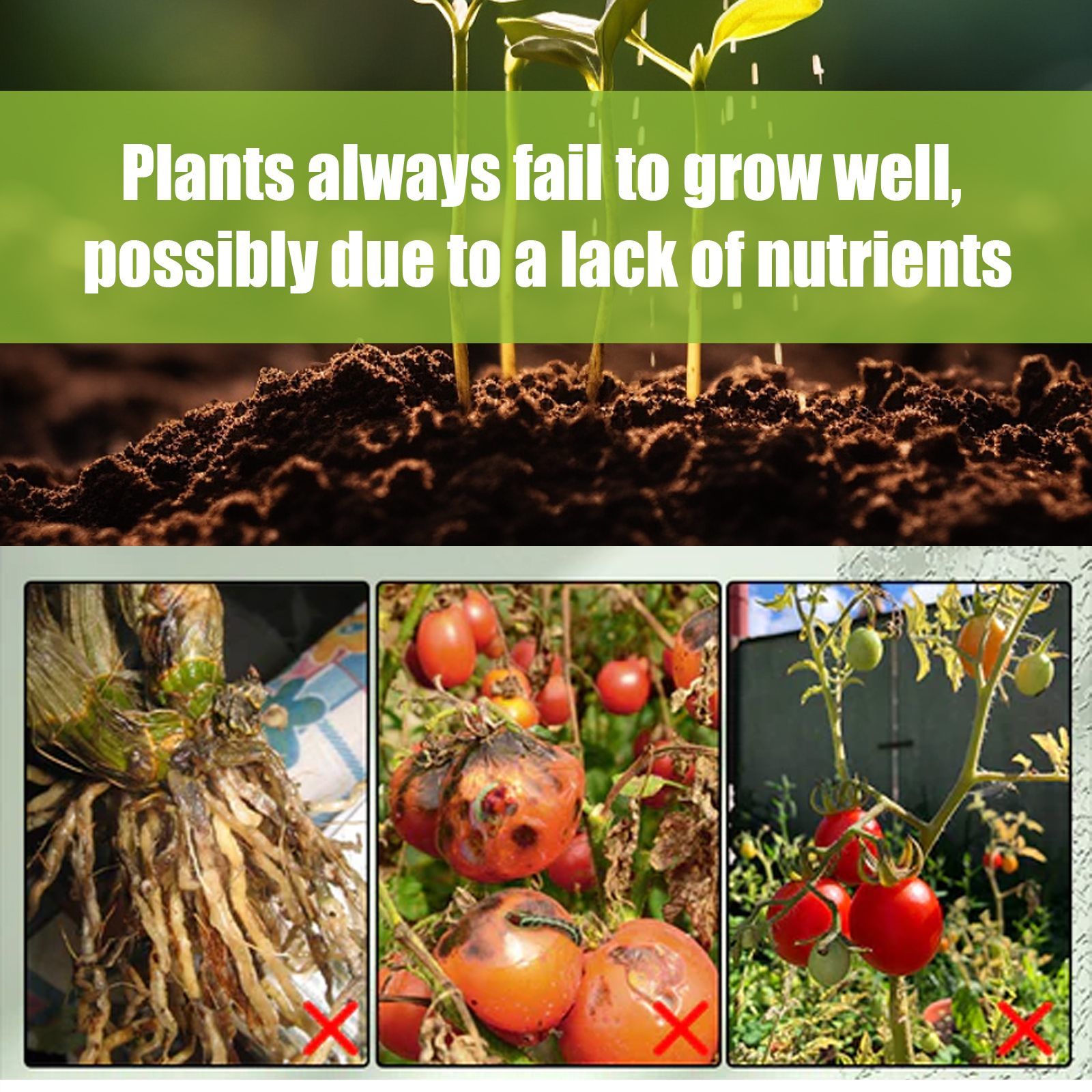 Plant growth graphic showing nutrient deficiency concerns