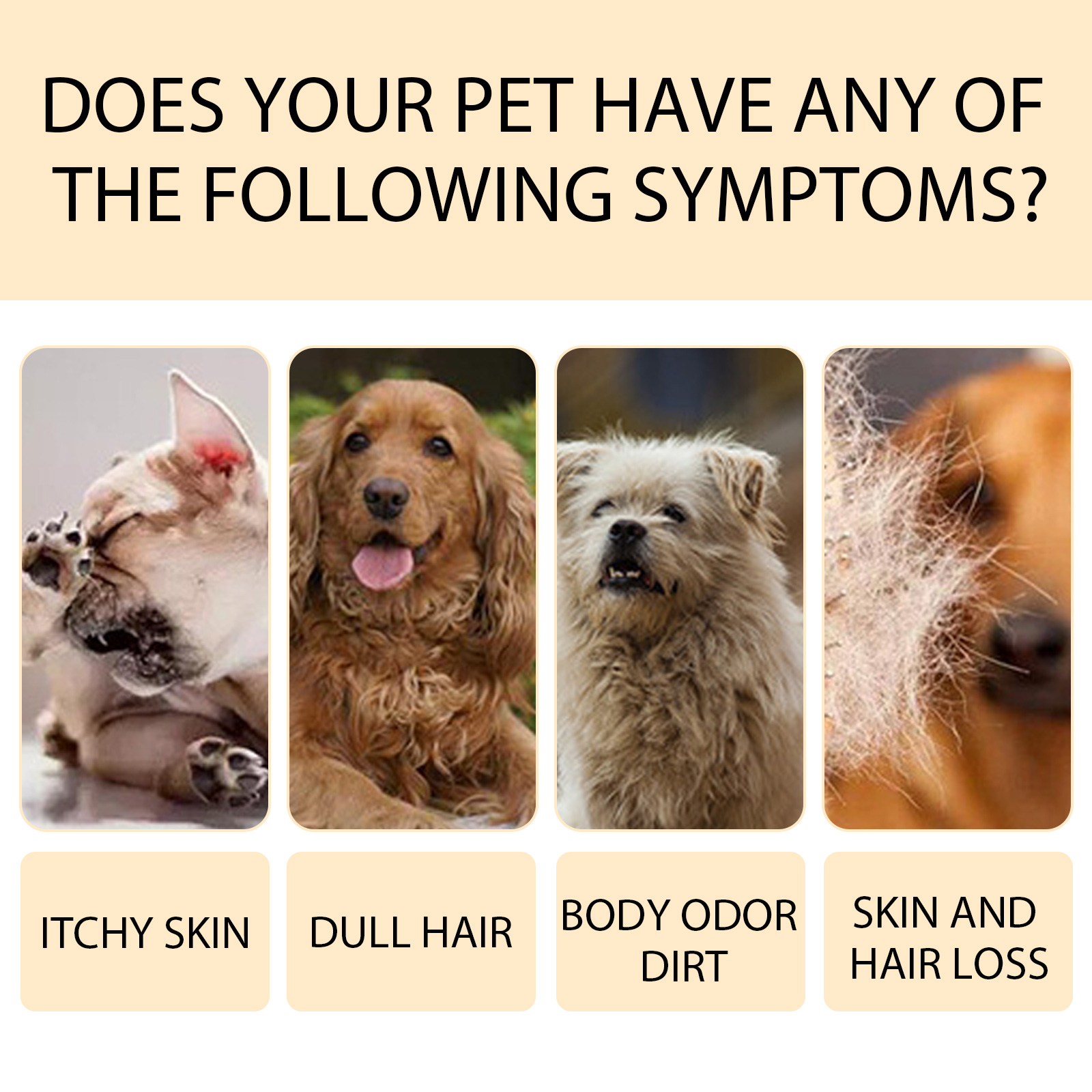 Pet coat concerns represented in a clean product graphic