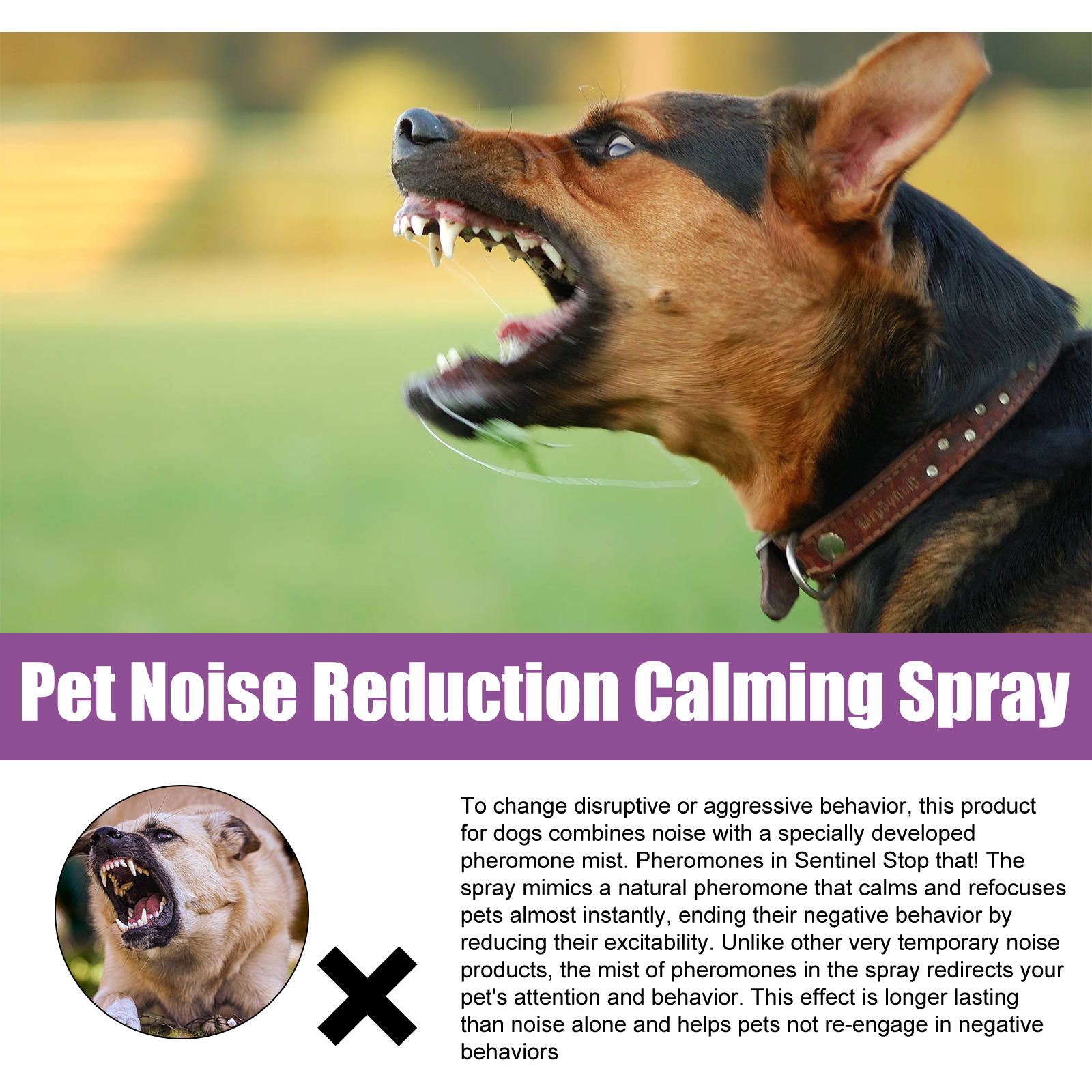 Pheromone calming spray beside reactive dog
