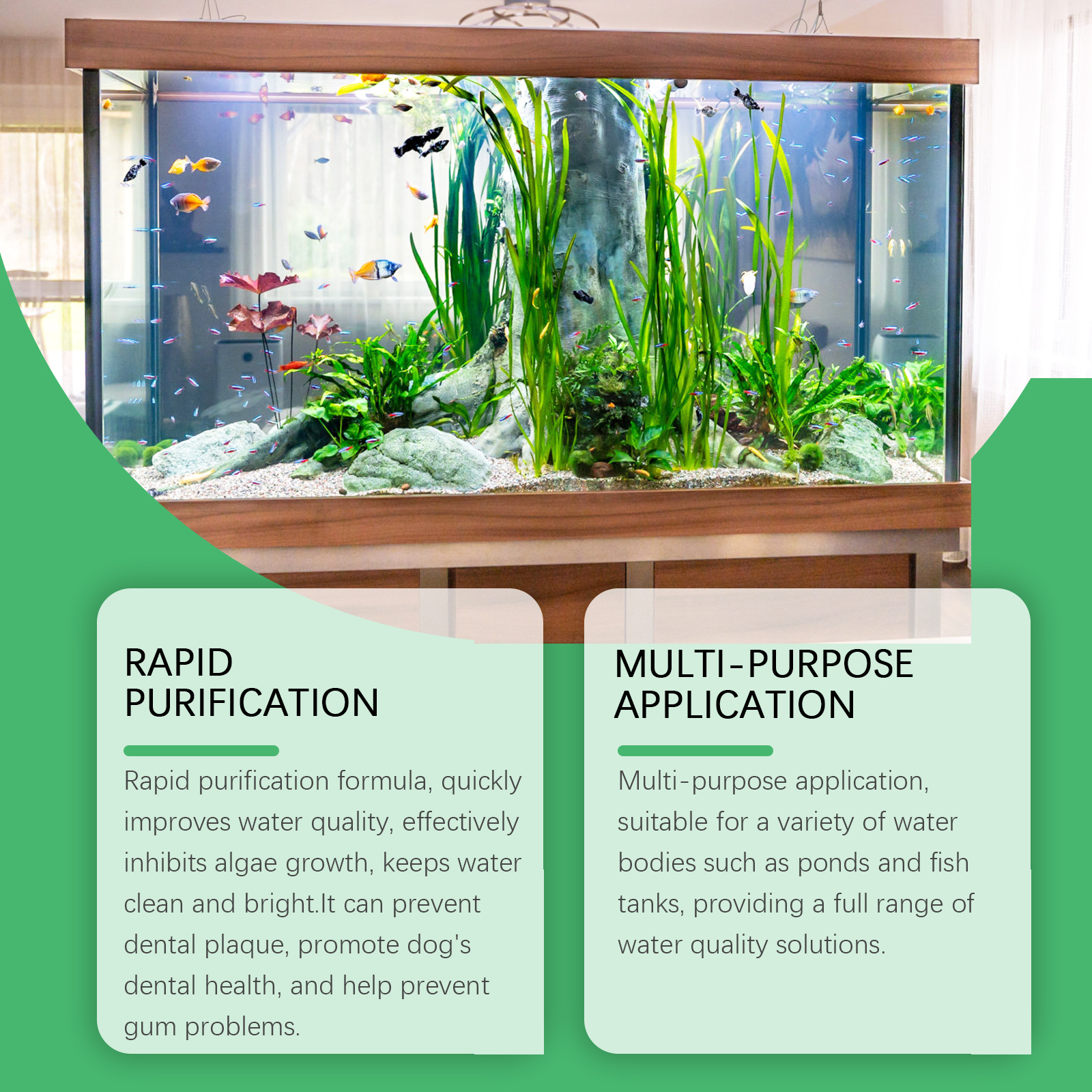 Planted aquarium with rapid purification and algae claims