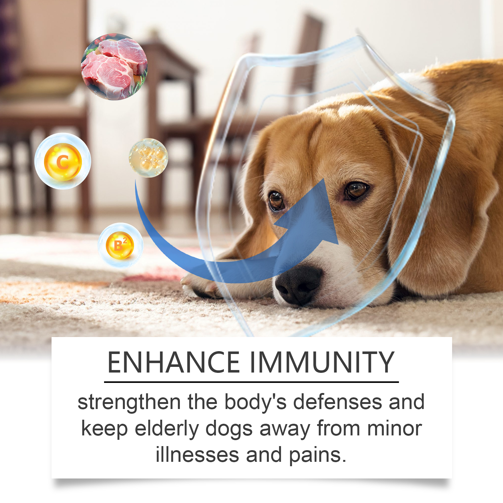 Dog beside supplement packaging with immune support claim