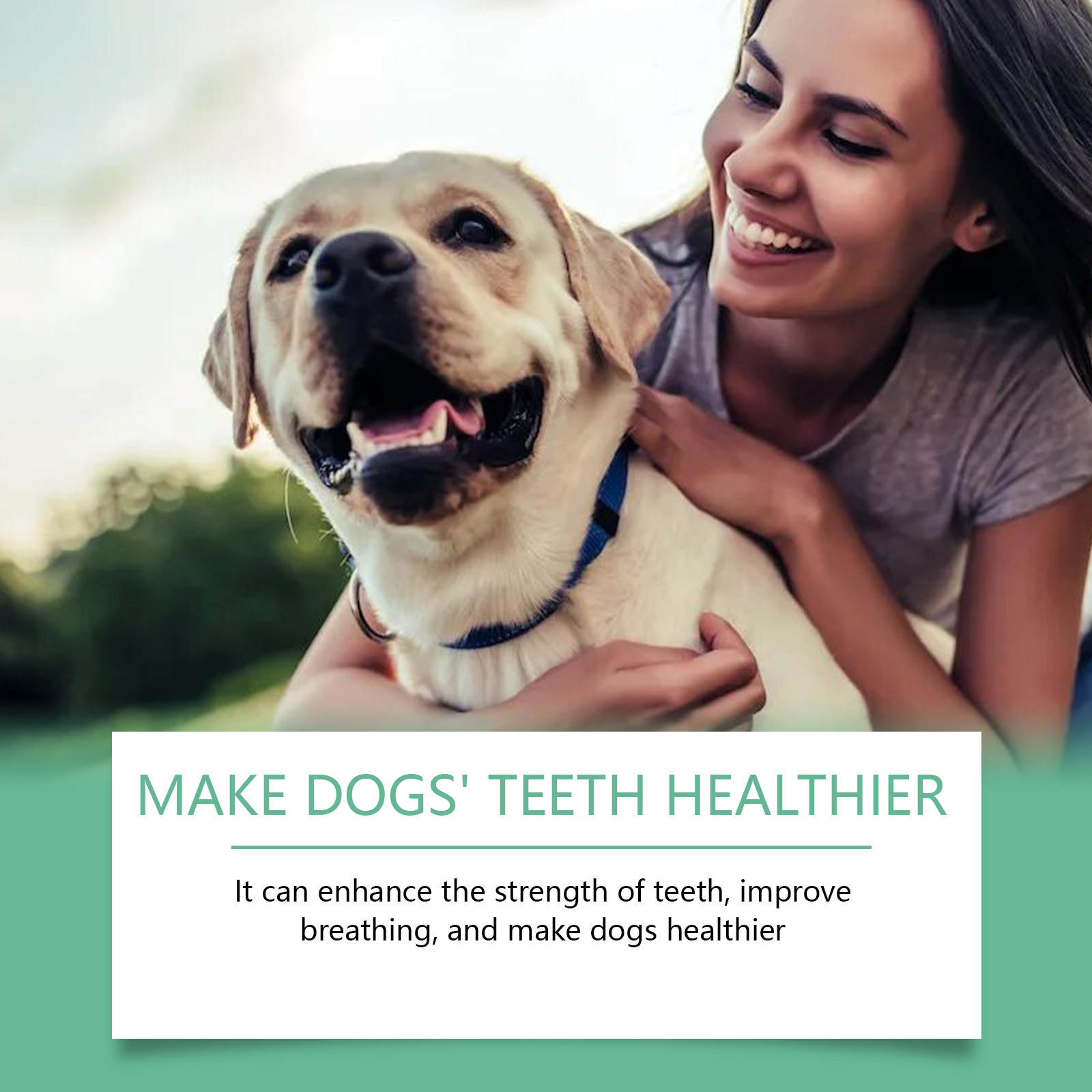 Owner embracing happy dog during outdoor care