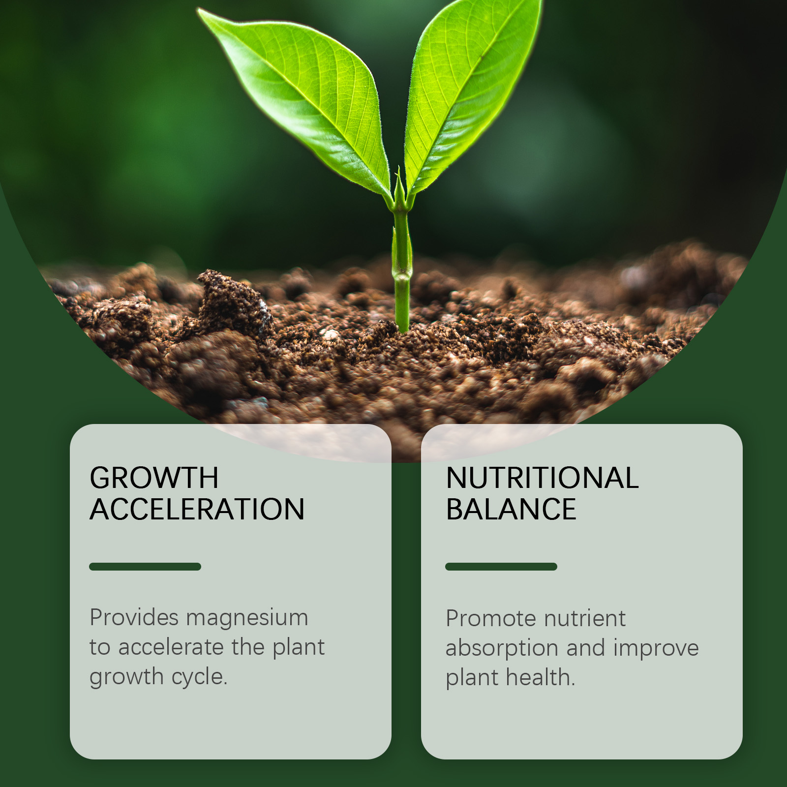 Seedling beside MoonSpry magnesium plant nutrition messaging