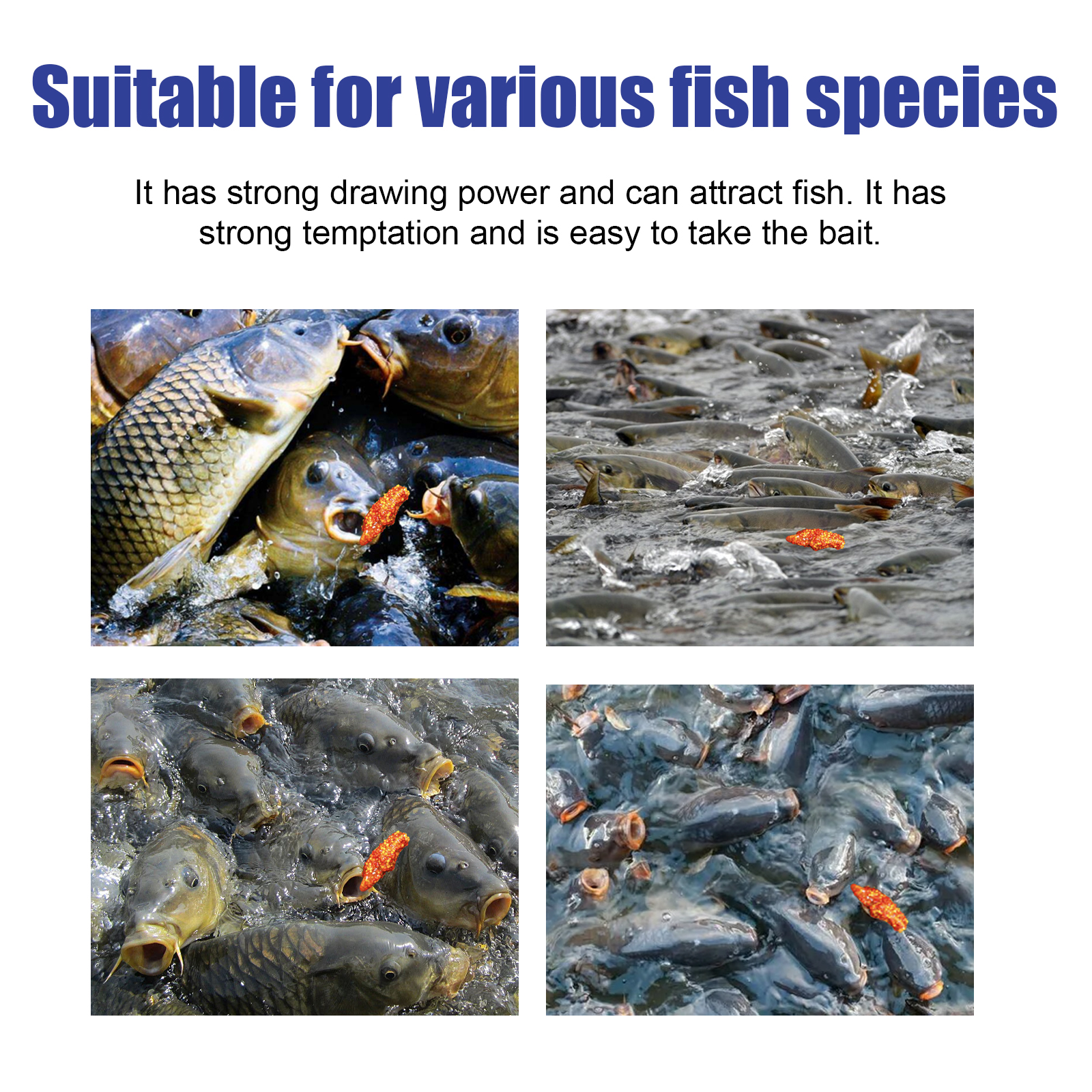 Fishing attractant packaging with fish species imagery