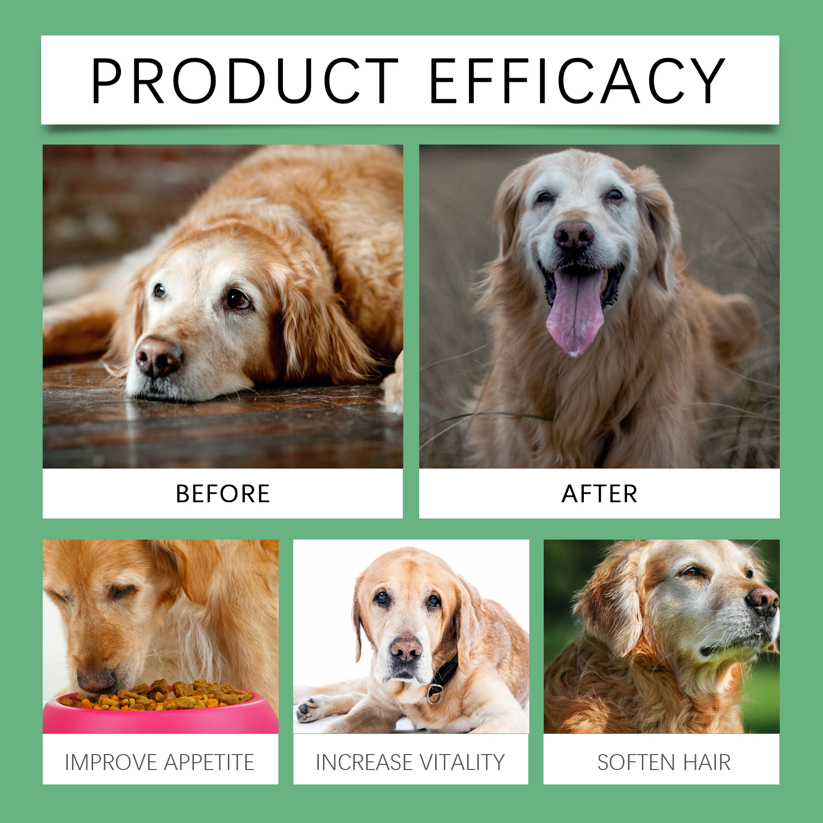 Green senior dog vitamin claims and comparison graphic