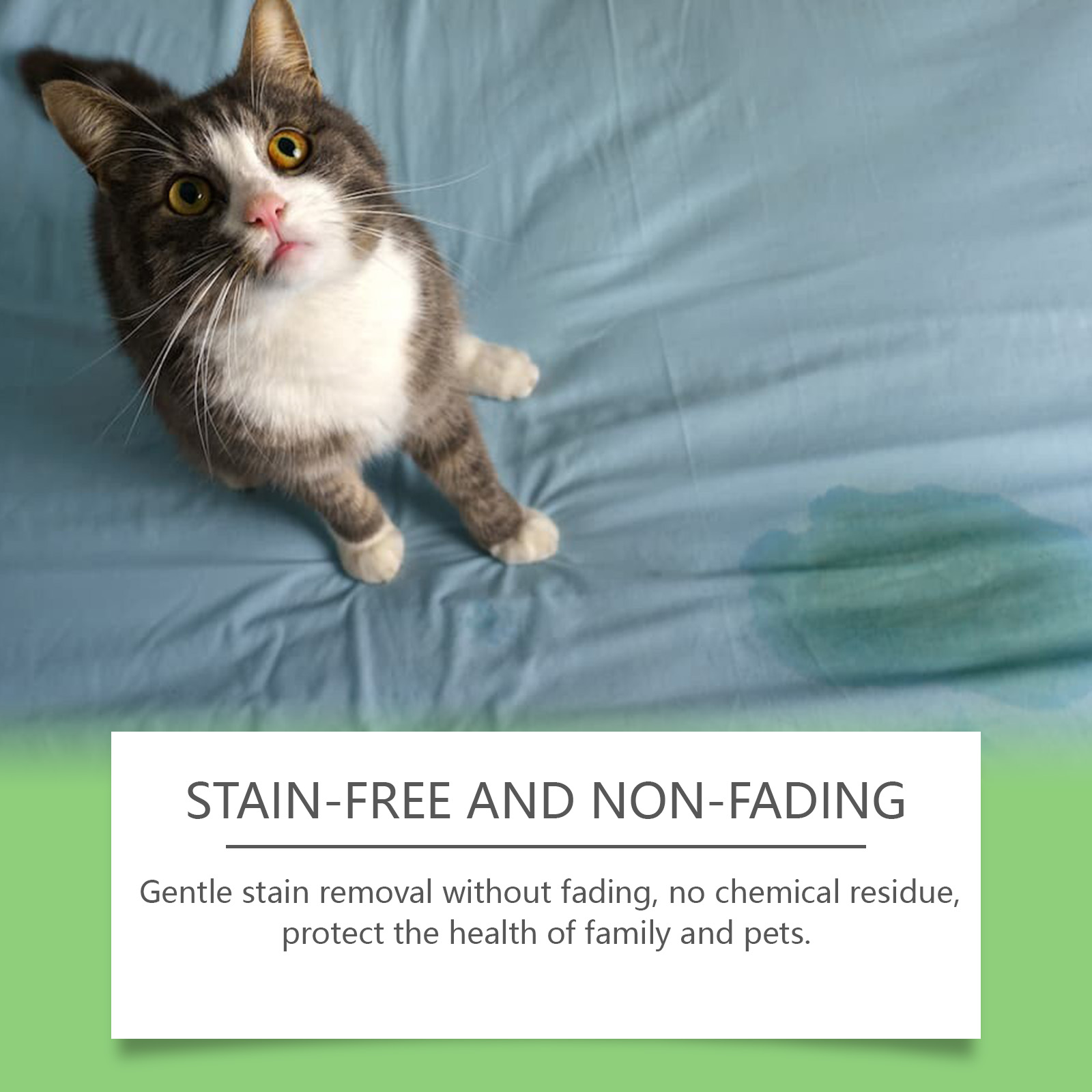 Cat beside bedding with non-fading cleaning claim
